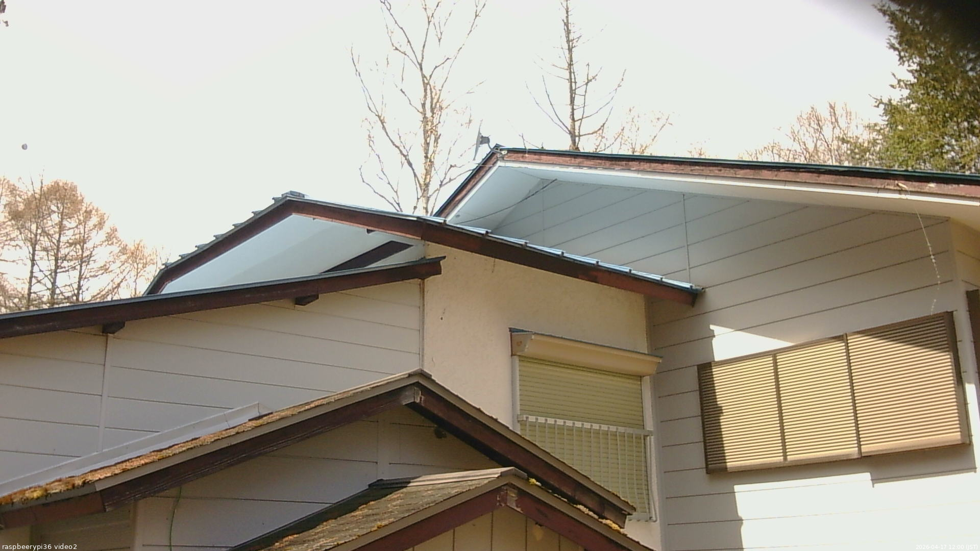 長野県菅平高原 ゆたか山荘 駐車場奥 2026/04/17 12:00