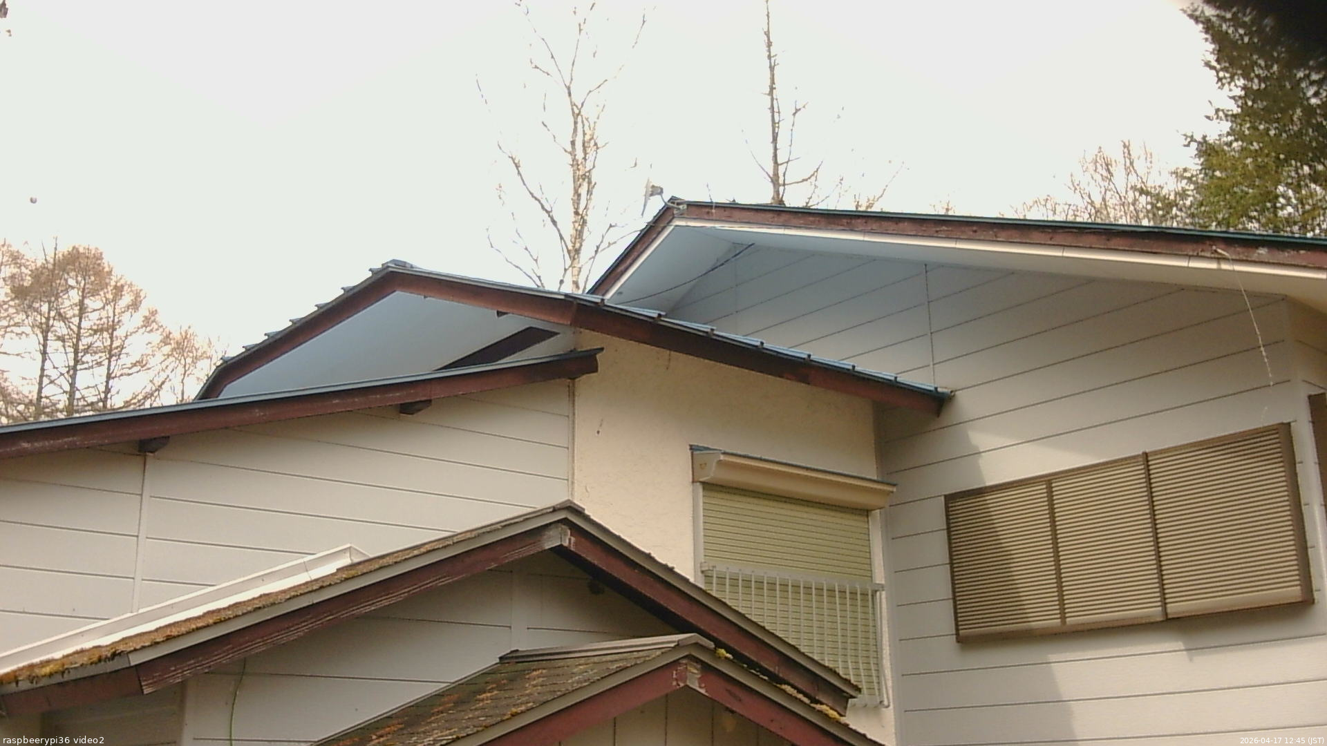 長野県菅平高原 ゆたか山荘 駐車場奥 2026/04/17 12:45