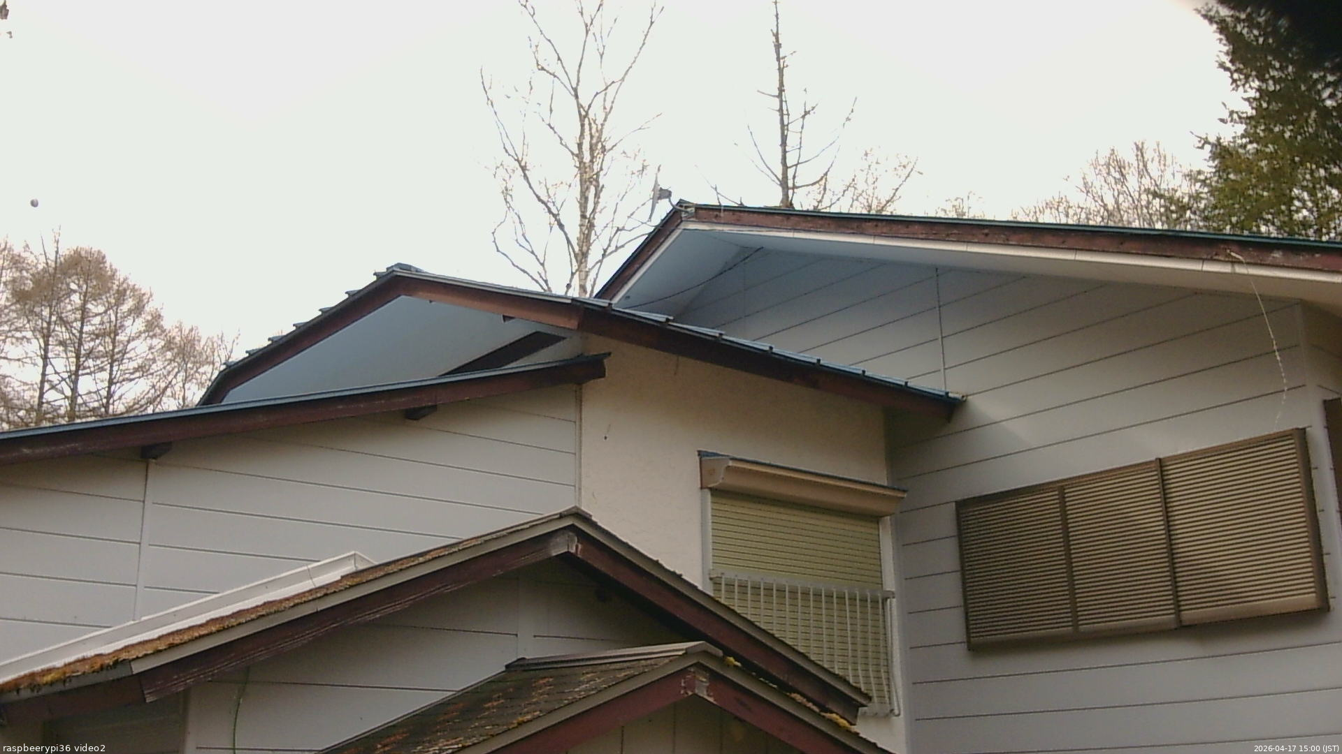 長野県菅平高原 ゆたか山荘 駐車場奥 2026/04/17 15:00