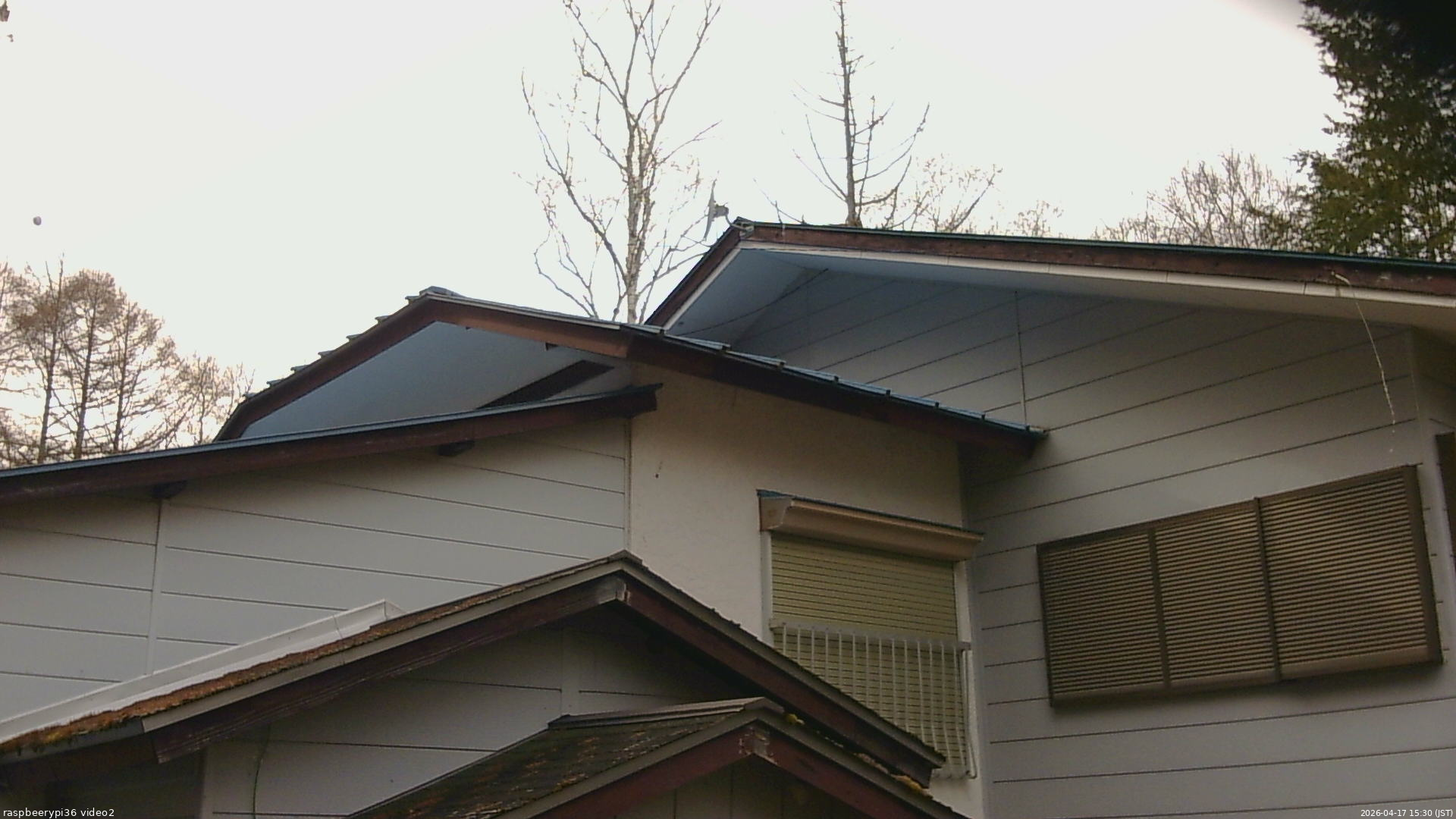 長野県菅平高原 ゆたか山荘 駐車場奥 2026/04/17 15:30