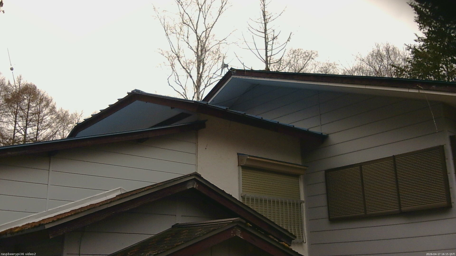 長野県菅平高原 ゆたか山荘 駐車場奥 2026/04/17 16:15