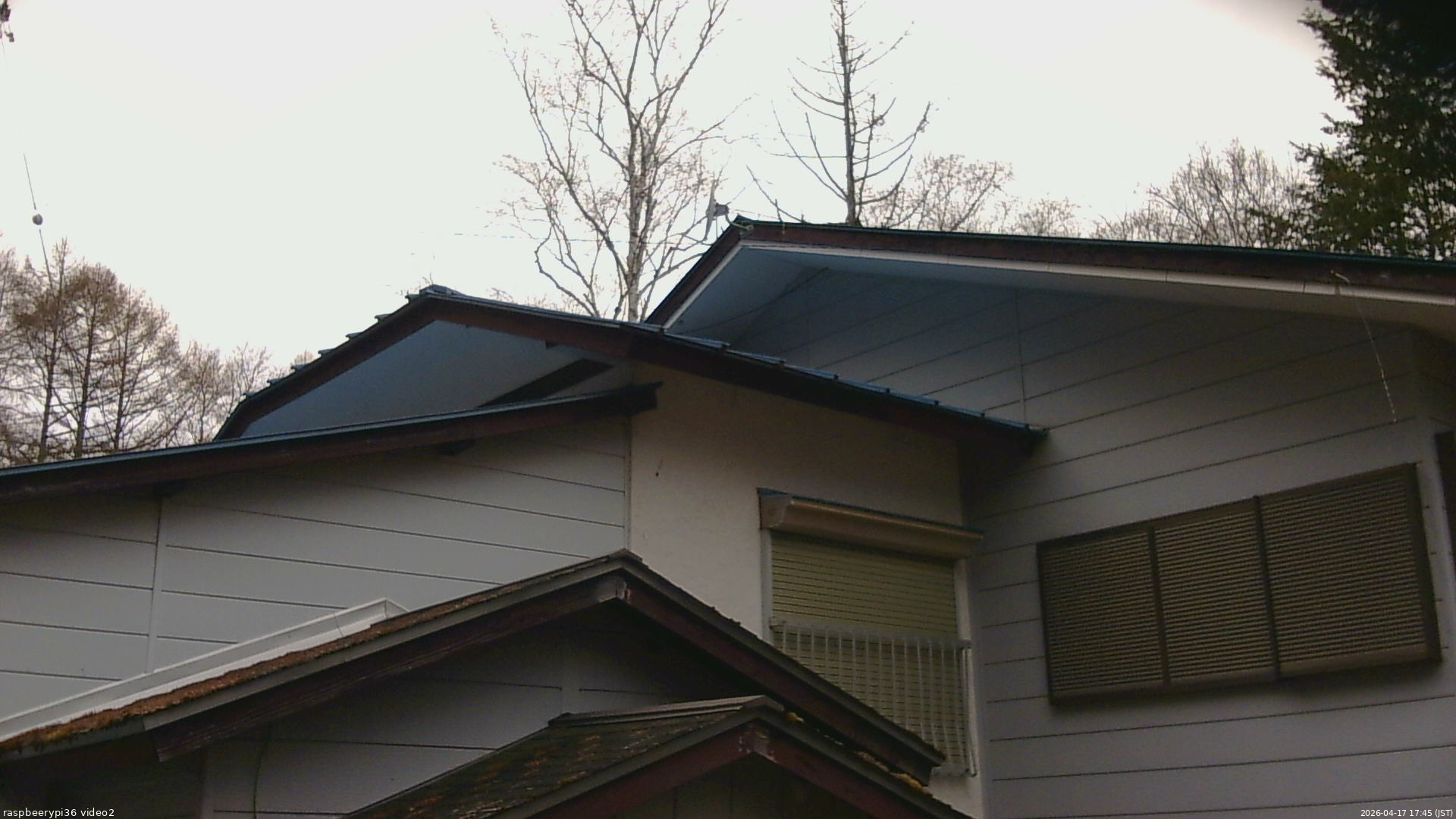 長野県菅平高原 ゆたか山荘 駐車場奥 2026/04/17 17:45