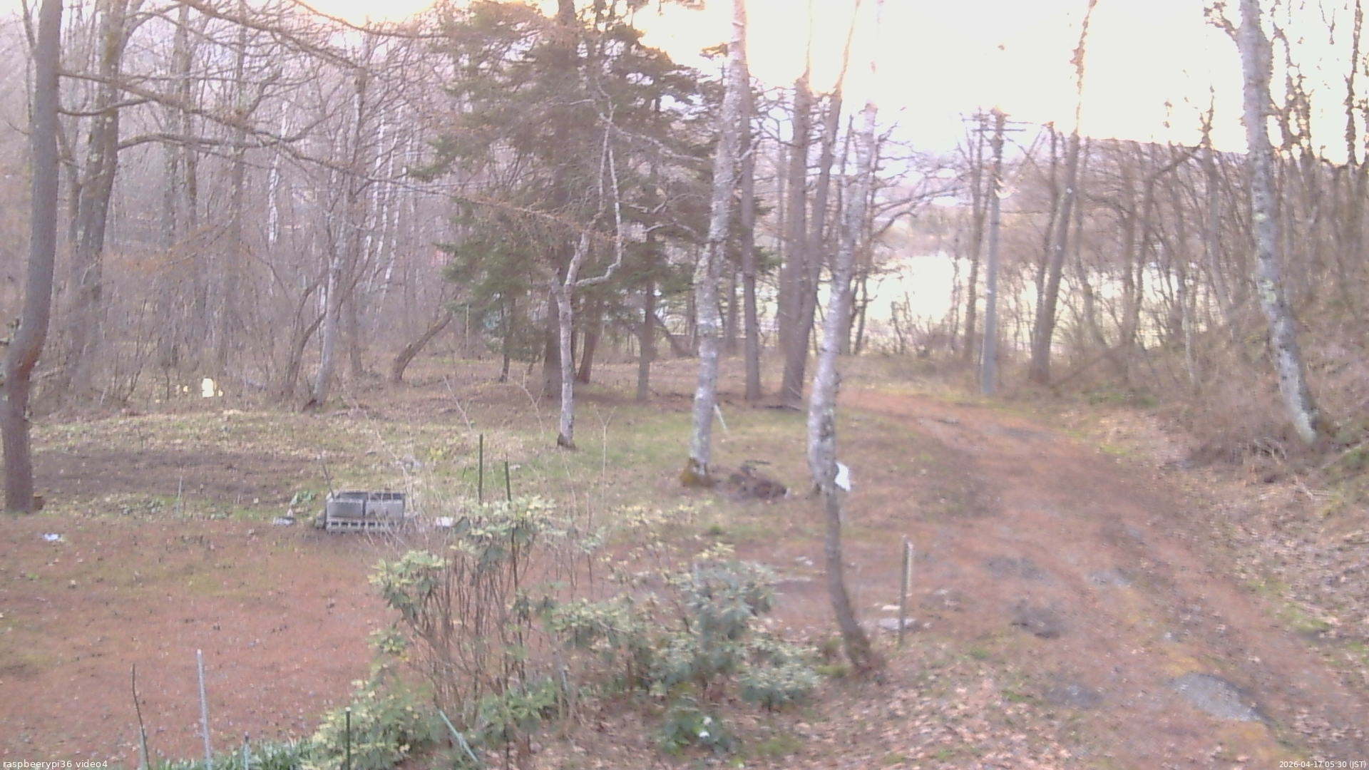 長野県菅平高原 ゆたか山荘 坂上 2026/04/17 05:30