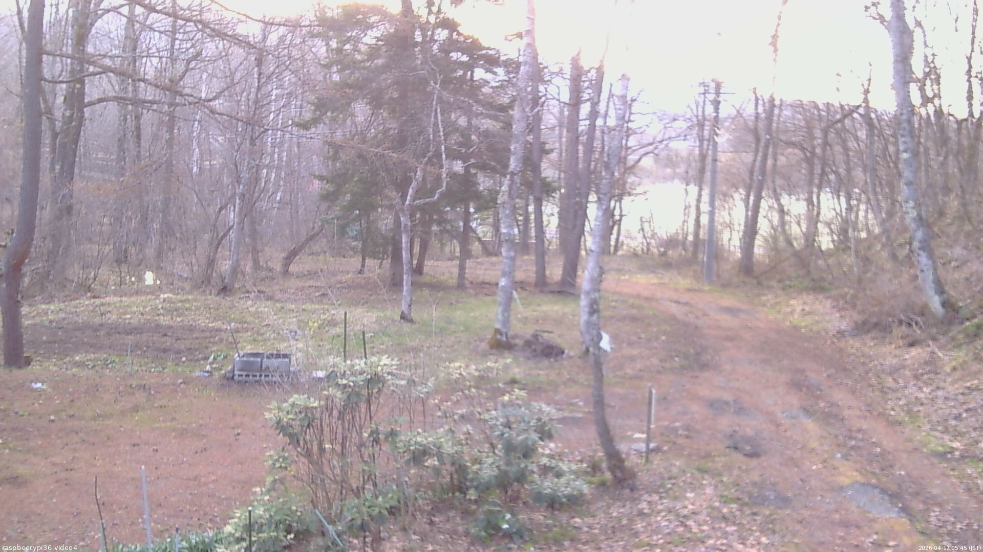 長野県菅平高原 ゆたか山荘 坂上 2026/04/17 05:45