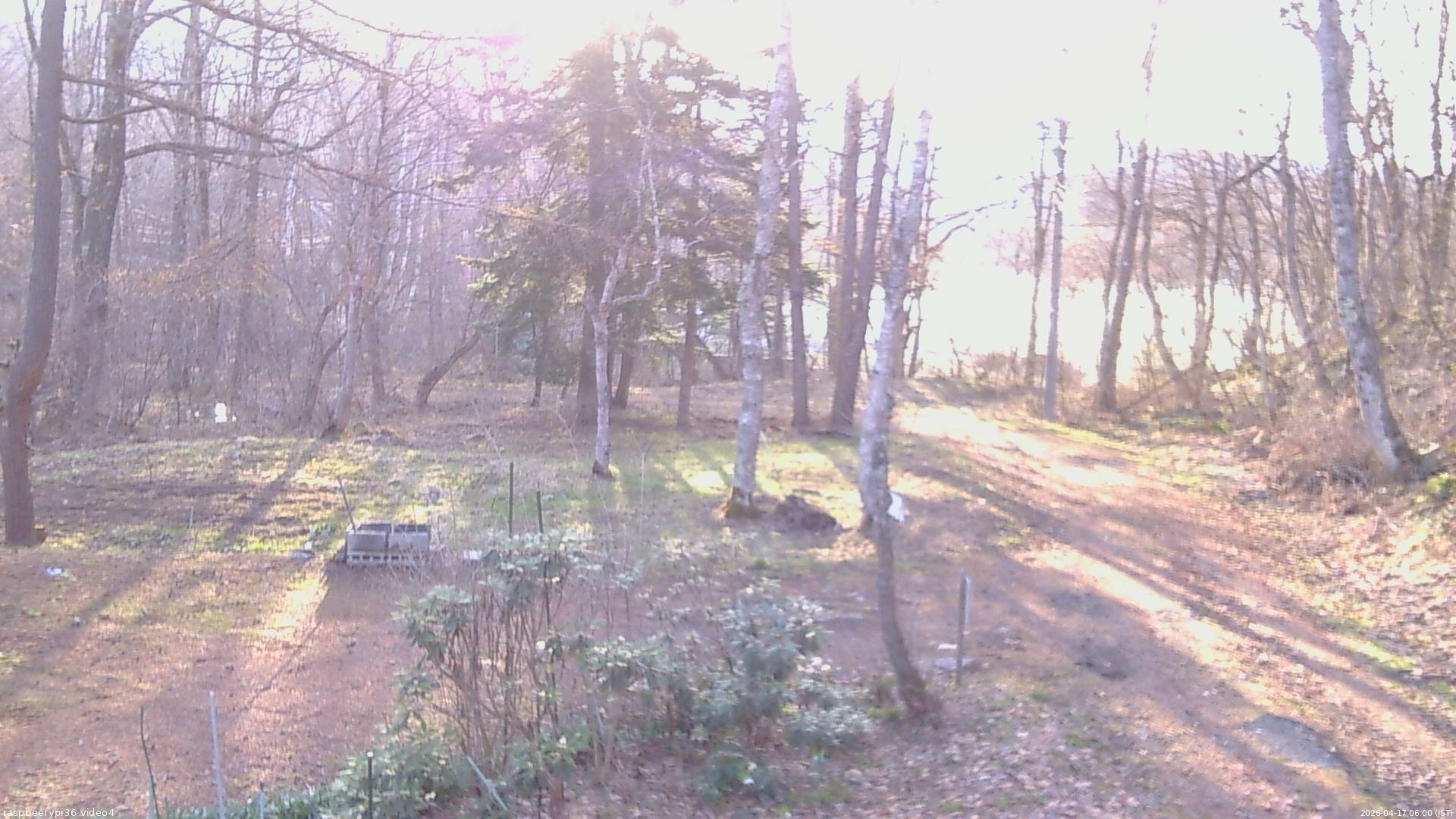 長野県菅平高原 ゆたか山荘 坂上 2026/04/17 06:00