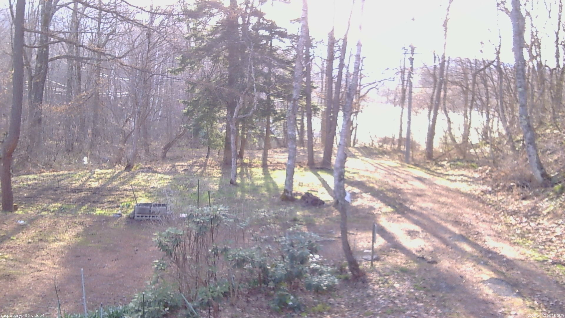 長野県菅平高原 ゆたか山荘 坂上 2026/04/17 06:15