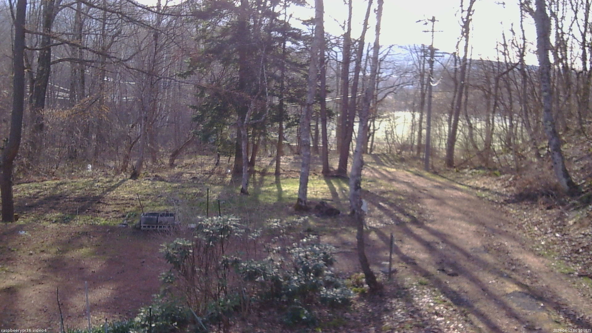 長野県菅平高原 ゆたか山荘 坂上 2026/04/17 06:30