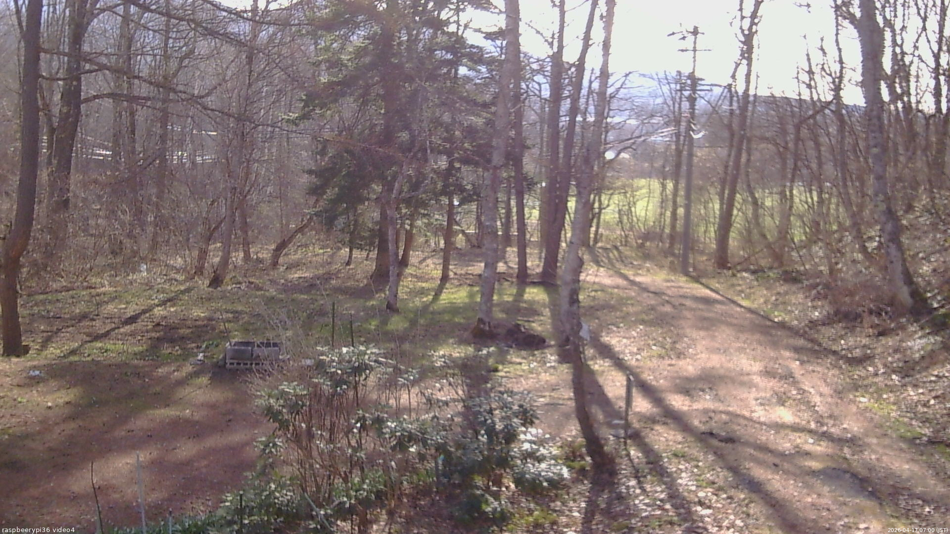 長野県菅平高原 ゆたか山荘 坂上 2026/04/17 07:00