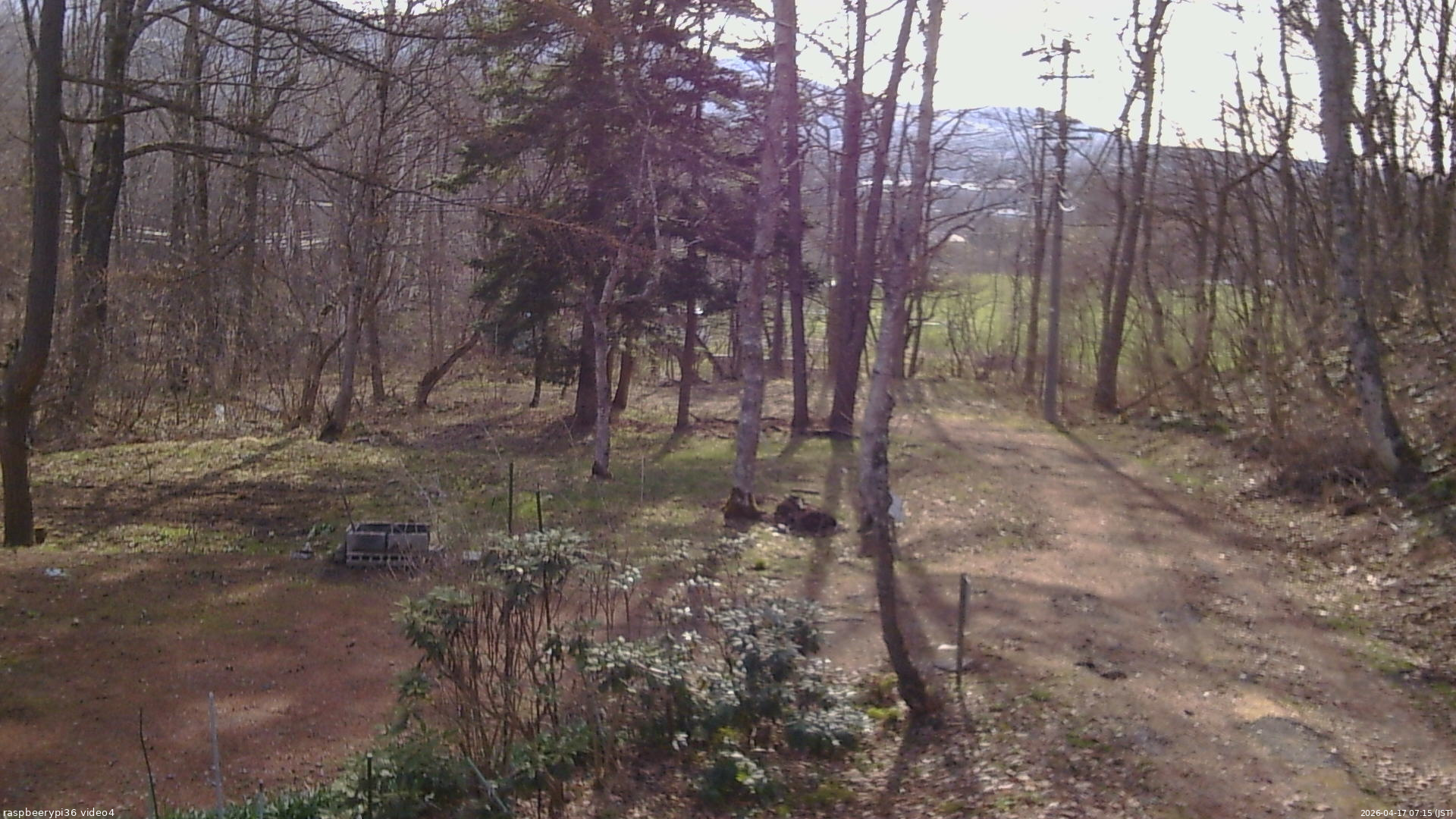 長野県菅平高原 ゆたか山荘 坂上 2026/04/17 07:15