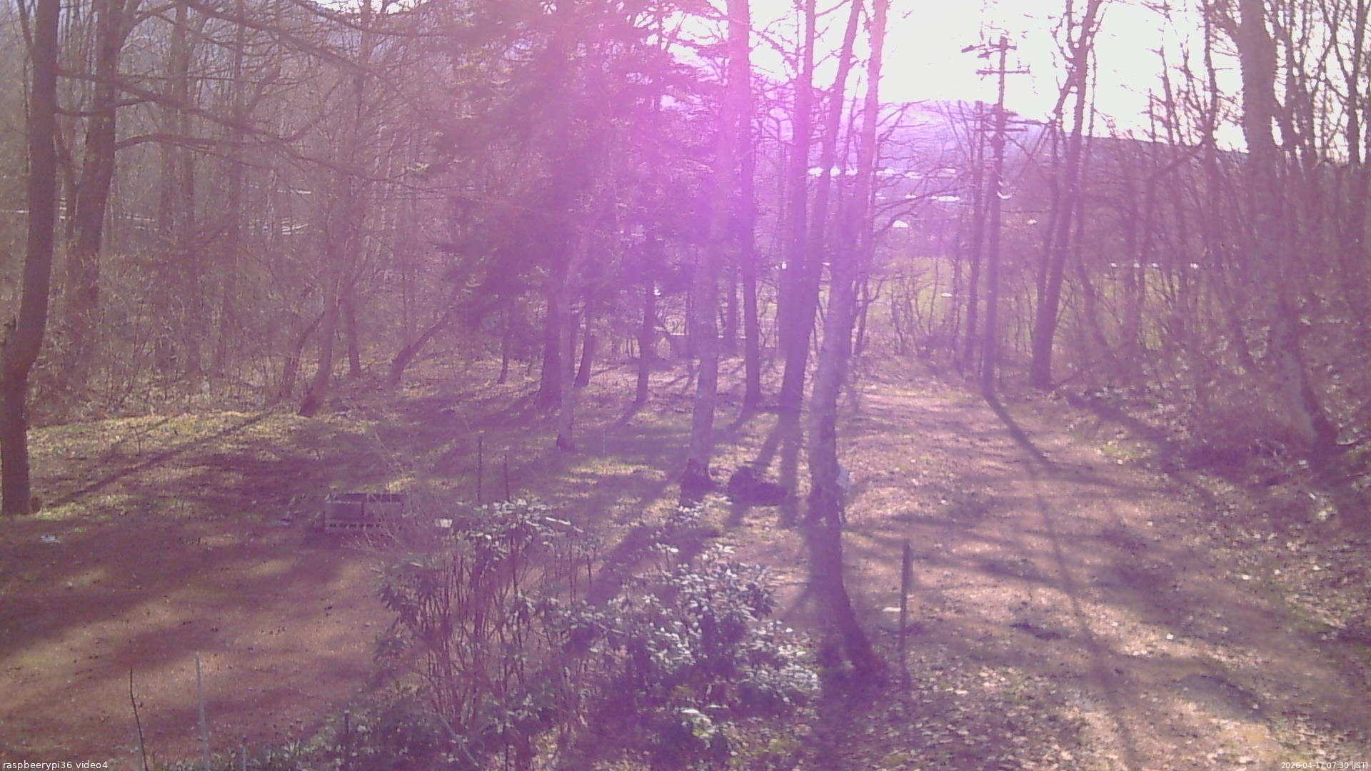 長野県菅平高原 ゆたか山荘 坂上 2026/04/17 07:30
