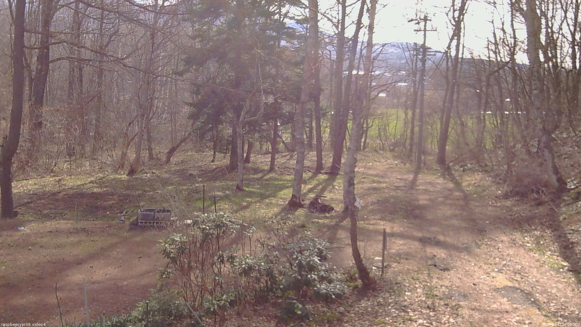 長野県菅平高原 ゆたか山荘 坂上 2026/04/17 08:00