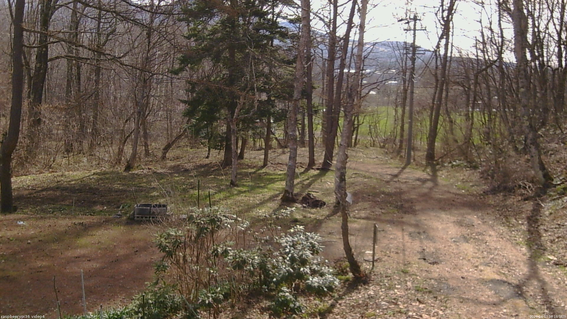 長野県菅平高原 ゆたか山荘 坂上 2026/04/17 08:15