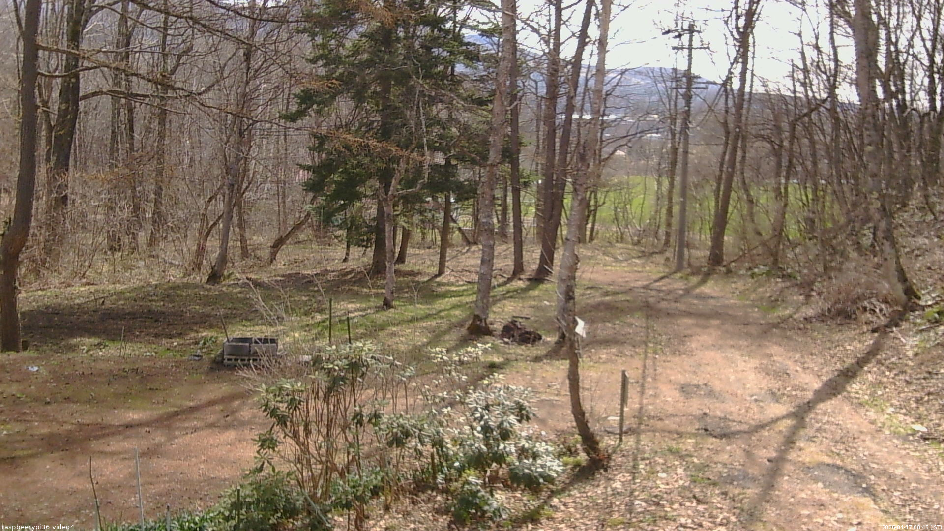 長野県菅平高原 ゆたか山荘 坂上 2026/04/17 08:45