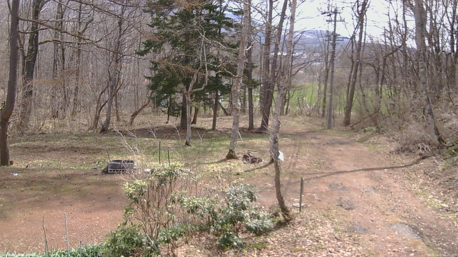 長野県菅平高原 ゆたか山荘 坂上 2026/04/17 10:00