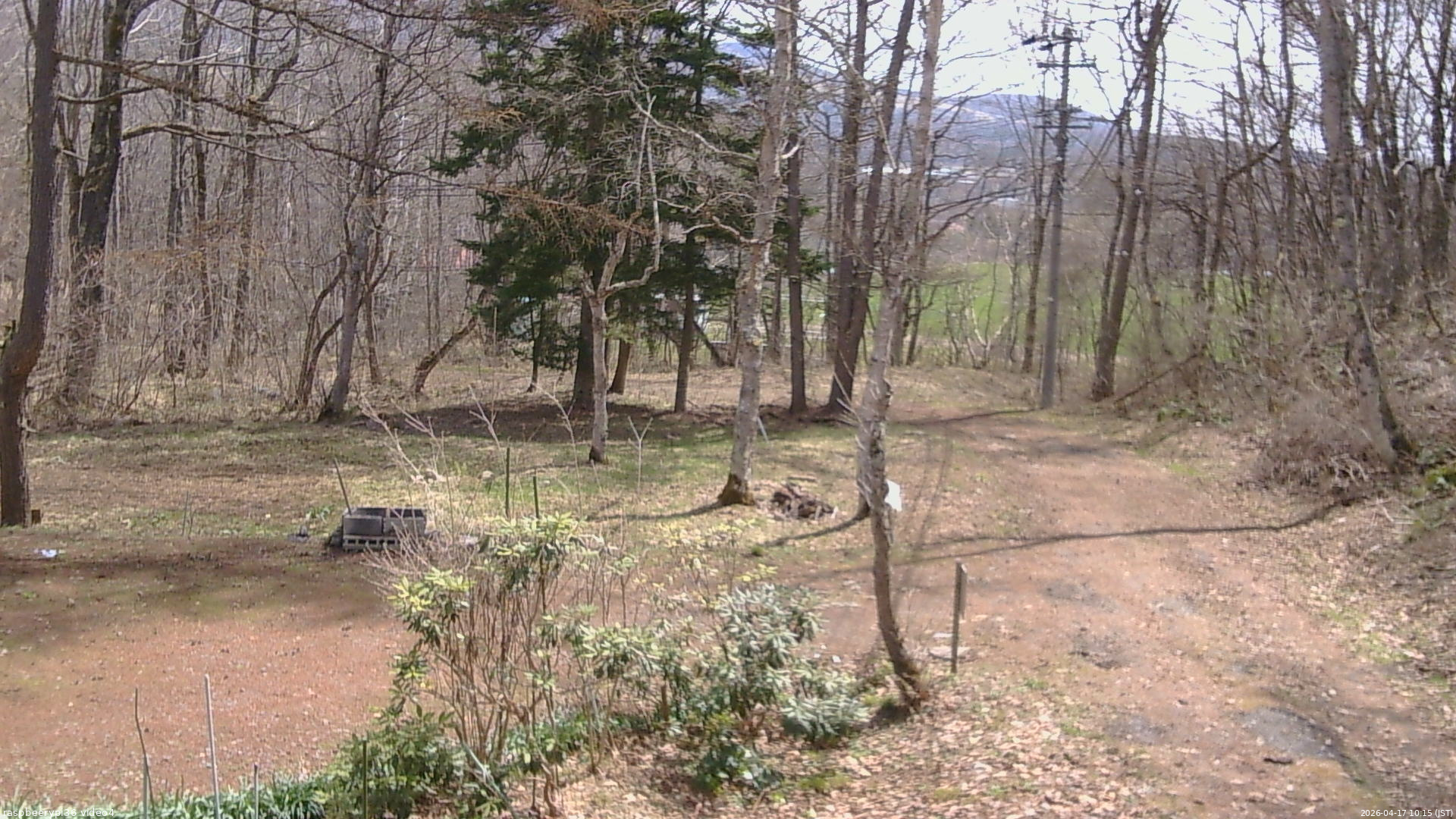 長野県菅平高原 ゆたか山荘 坂上 2026/04/17 10:15