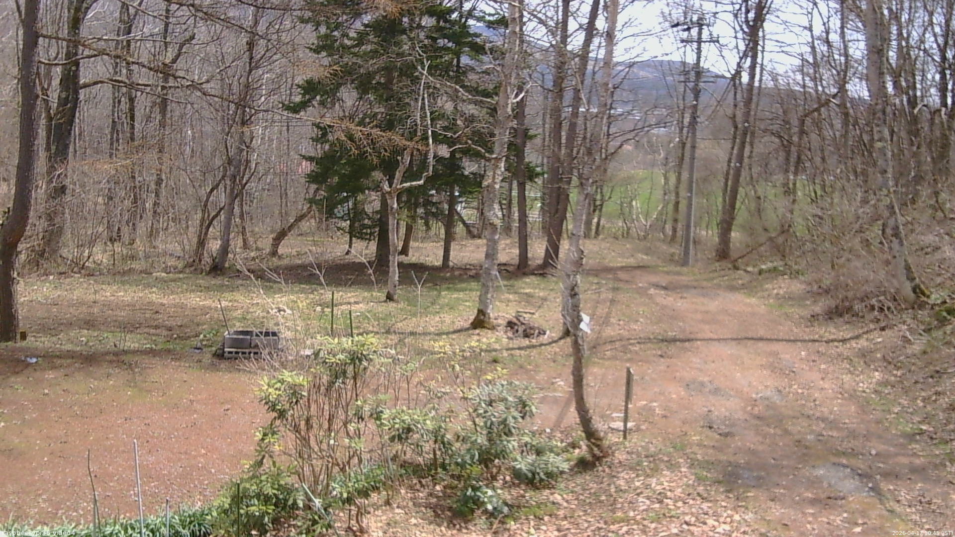 長野県菅平高原 ゆたか山荘 坂上 2026/04/17 10:45