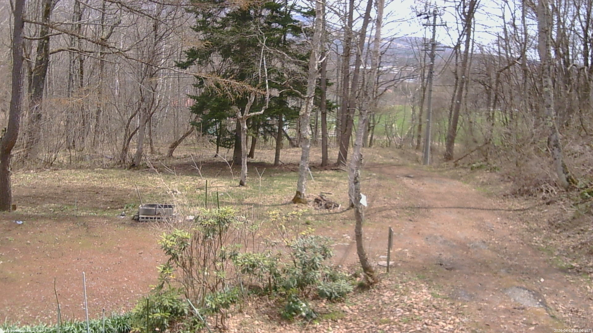 長野県菅平高原 ゆたか山荘 坂上 2026/04/17 11:00