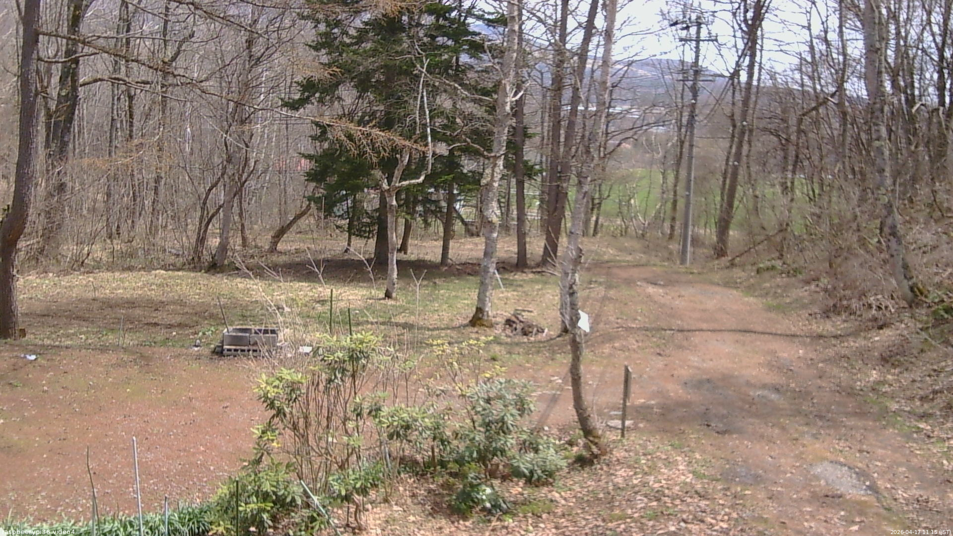 長野県菅平高原 ゆたか山荘 坂上 2026/04/17 11:15