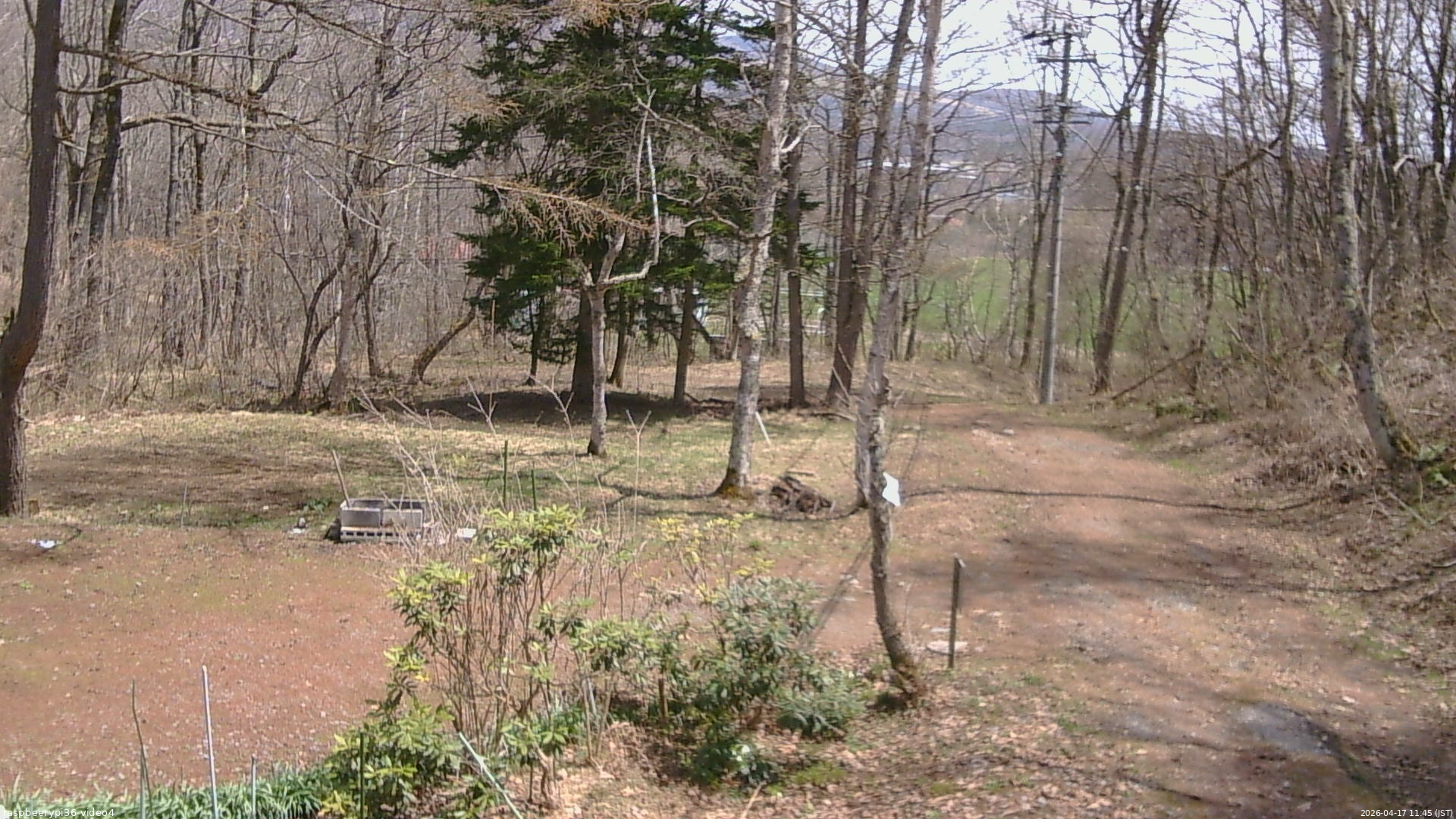 長野県菅平高原 ゆたか山荘 坂上 2026/04/17 11:45