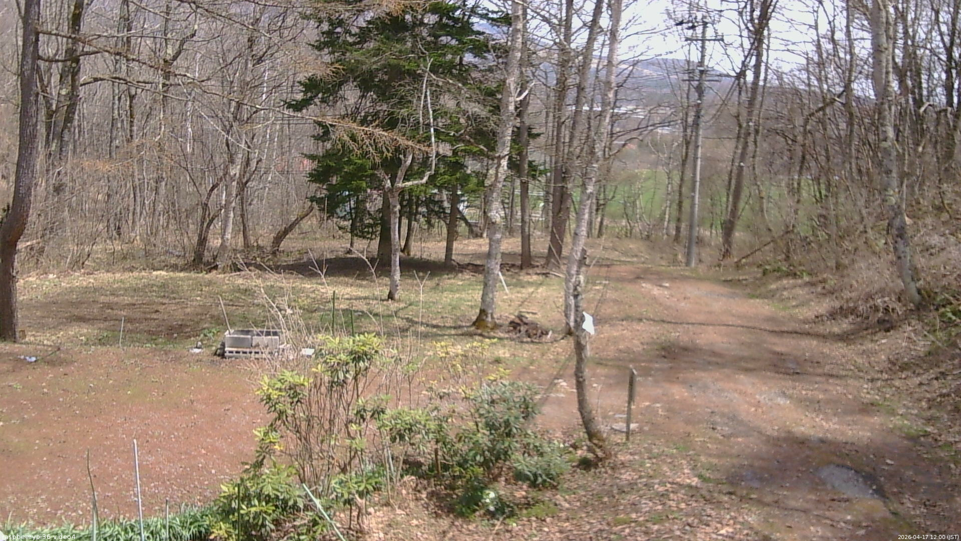 長野県菅平高原 ゆたか山荘 坂上 2026/04/17 12:00