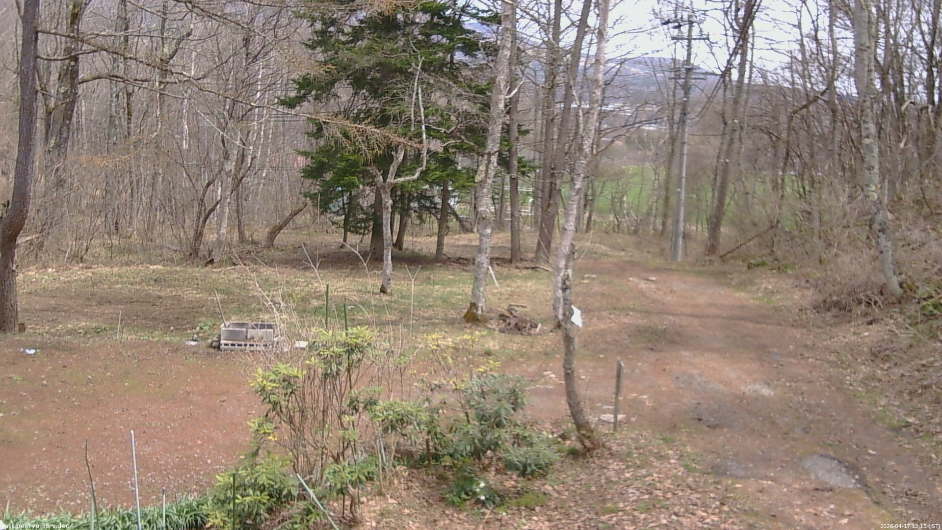 長野県菅平高原 ゆたか山荘 坂上 2026/04/17 12:15