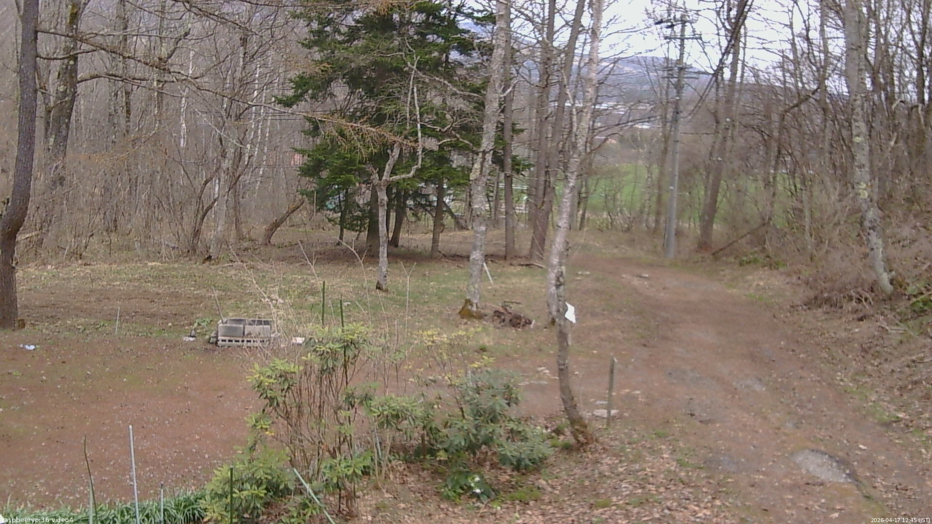 長野県菅平高原 ゆたか山荘 坂上 2026/04/17 12:45