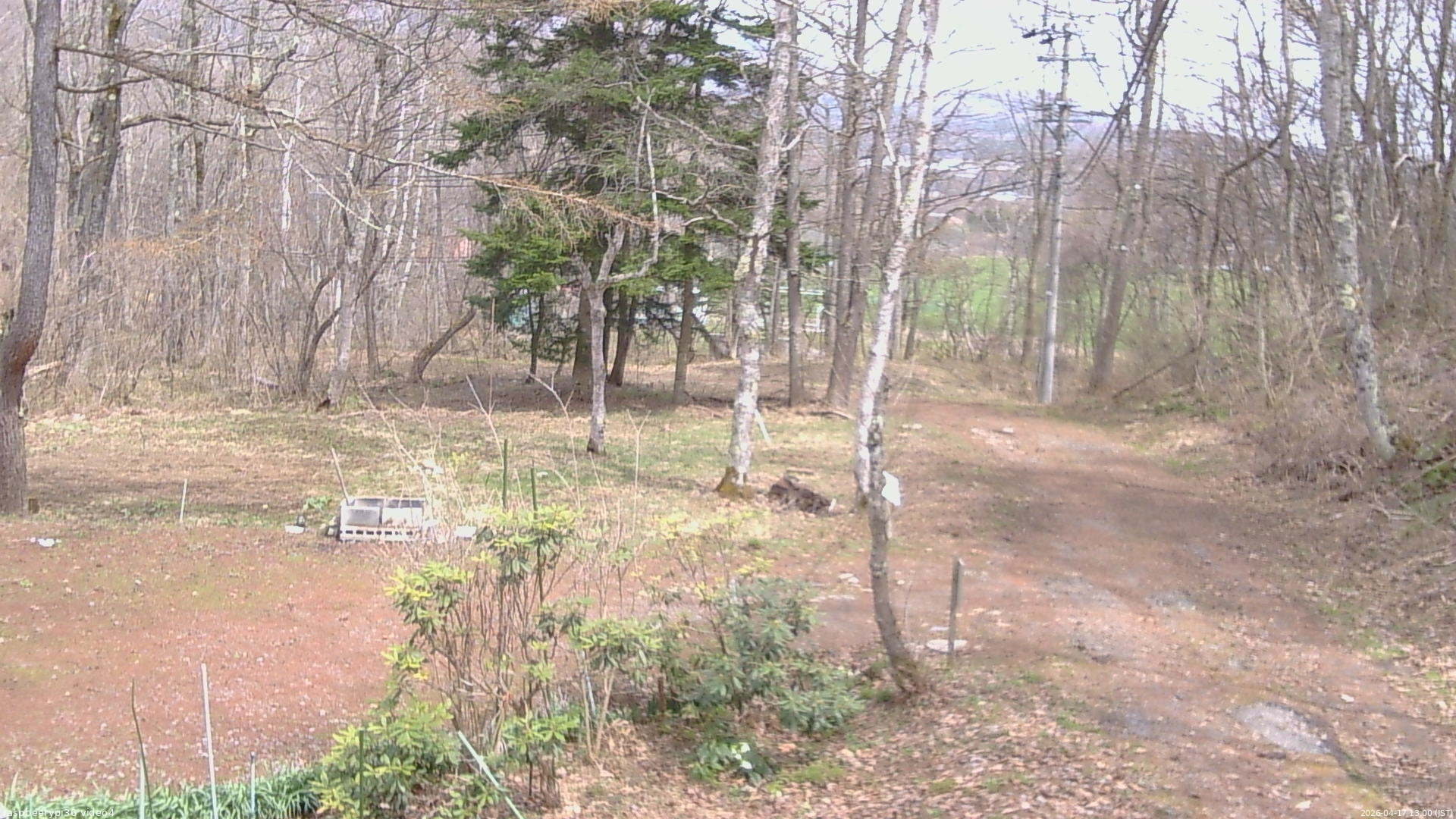 長野県菅平高原 ゆたか山荘 坂上 2026/04/17 13:00