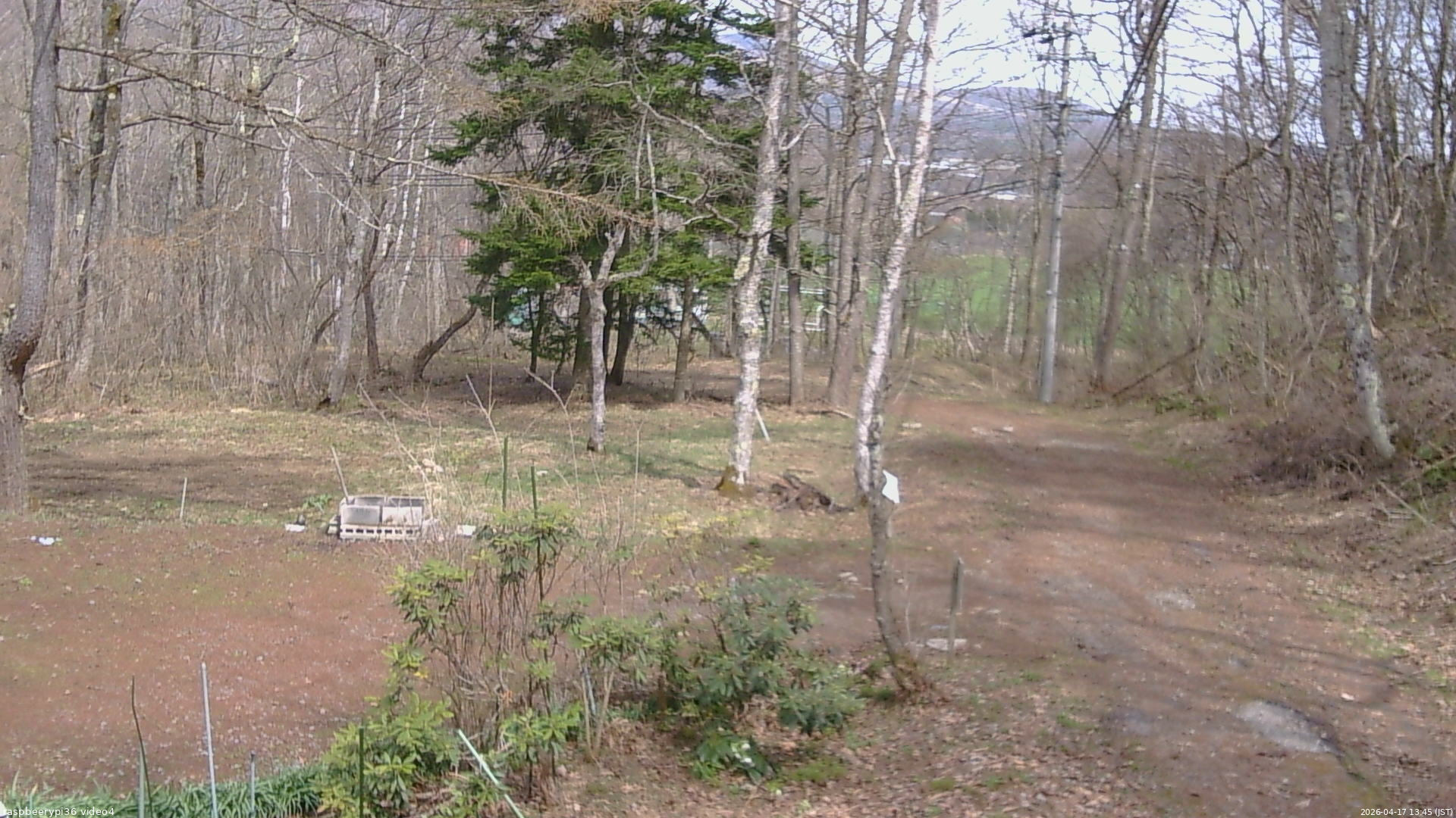 長野県菅平高原 ゆたか山荘 坂上 2026/04/17 13:45