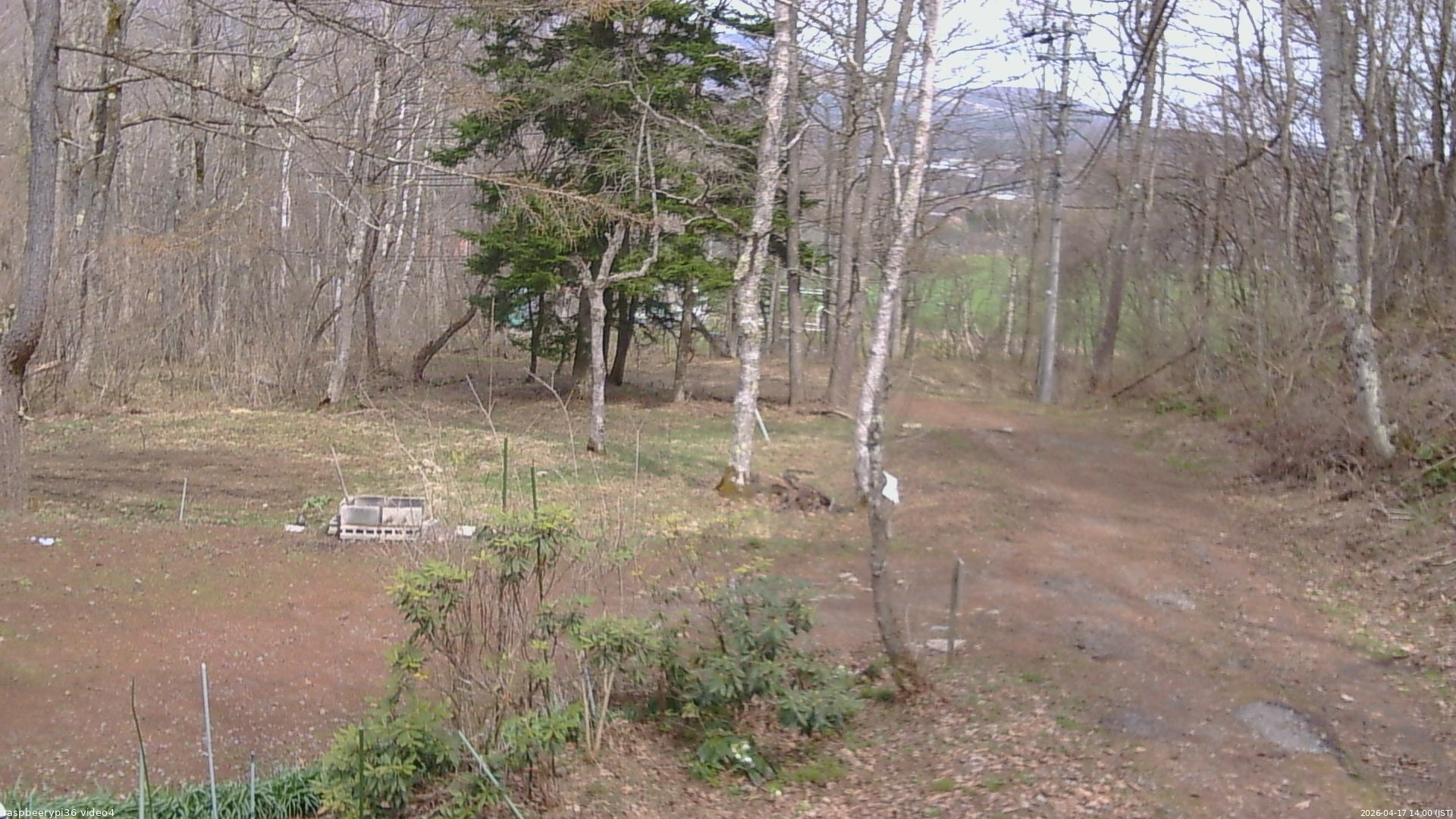 長野県菅平高原 ゆたか山荘 坂上 2026/04/17 14:00