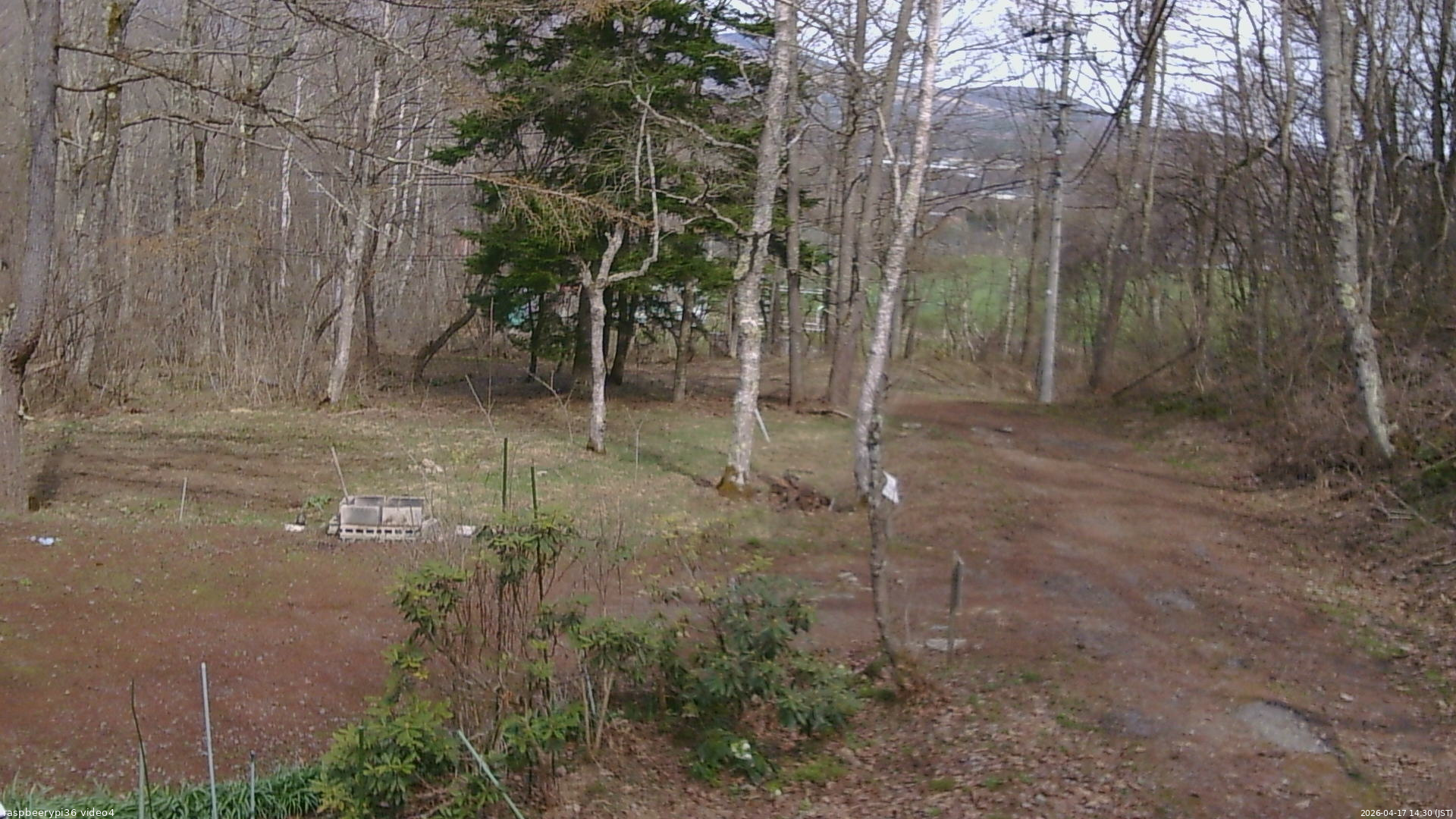 長野県菅平高原 ゆたか山荘 坂上 2026/04/17 14:30