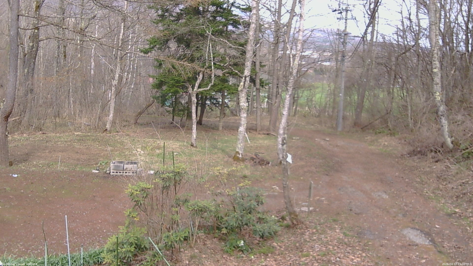 長野県菅平高原 ゆたか山荘 坂上 2026/04/17 15:00