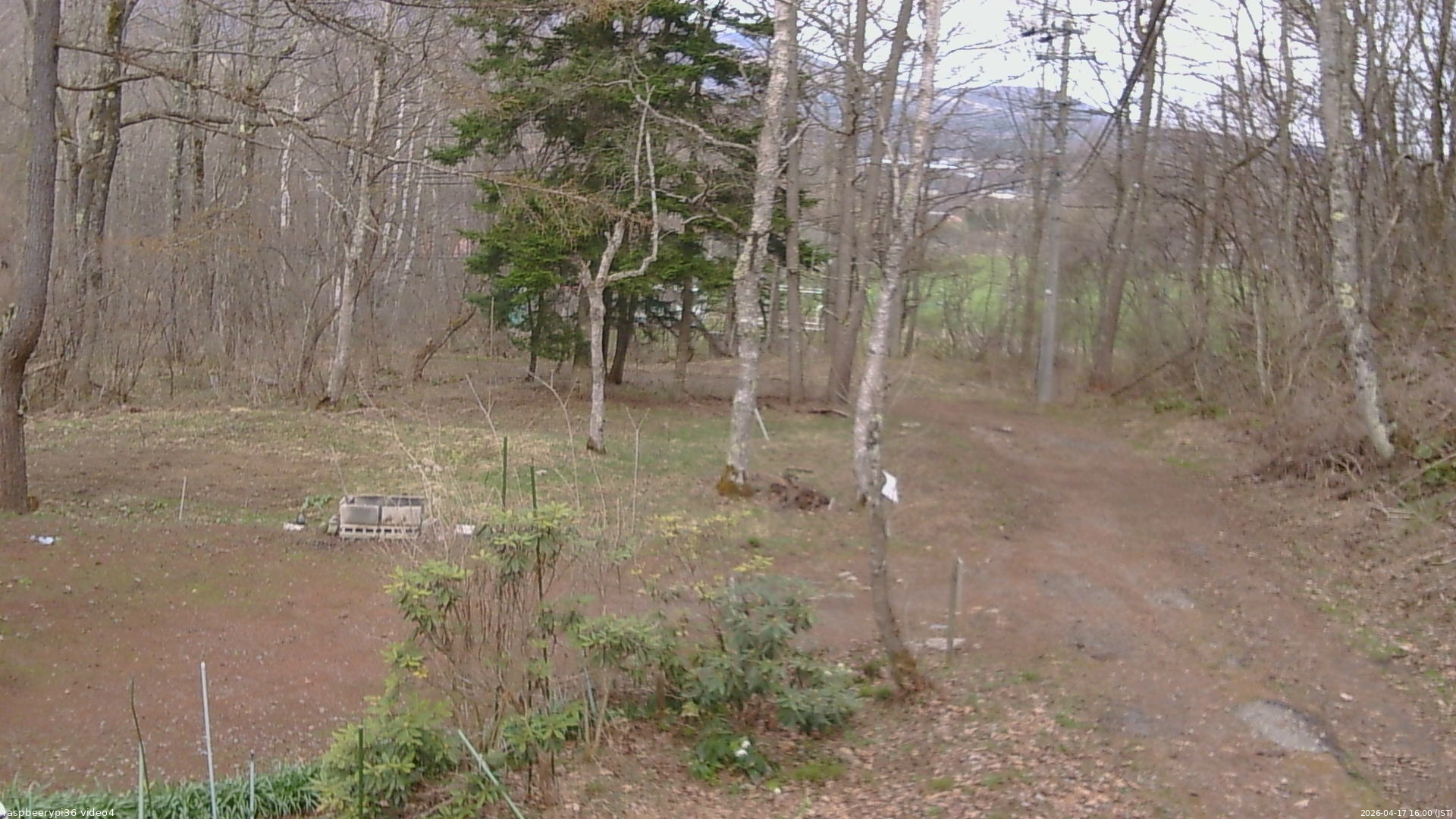 長野県菅平高原 ゆたか山荘 坂上 2026/04/17 16:00