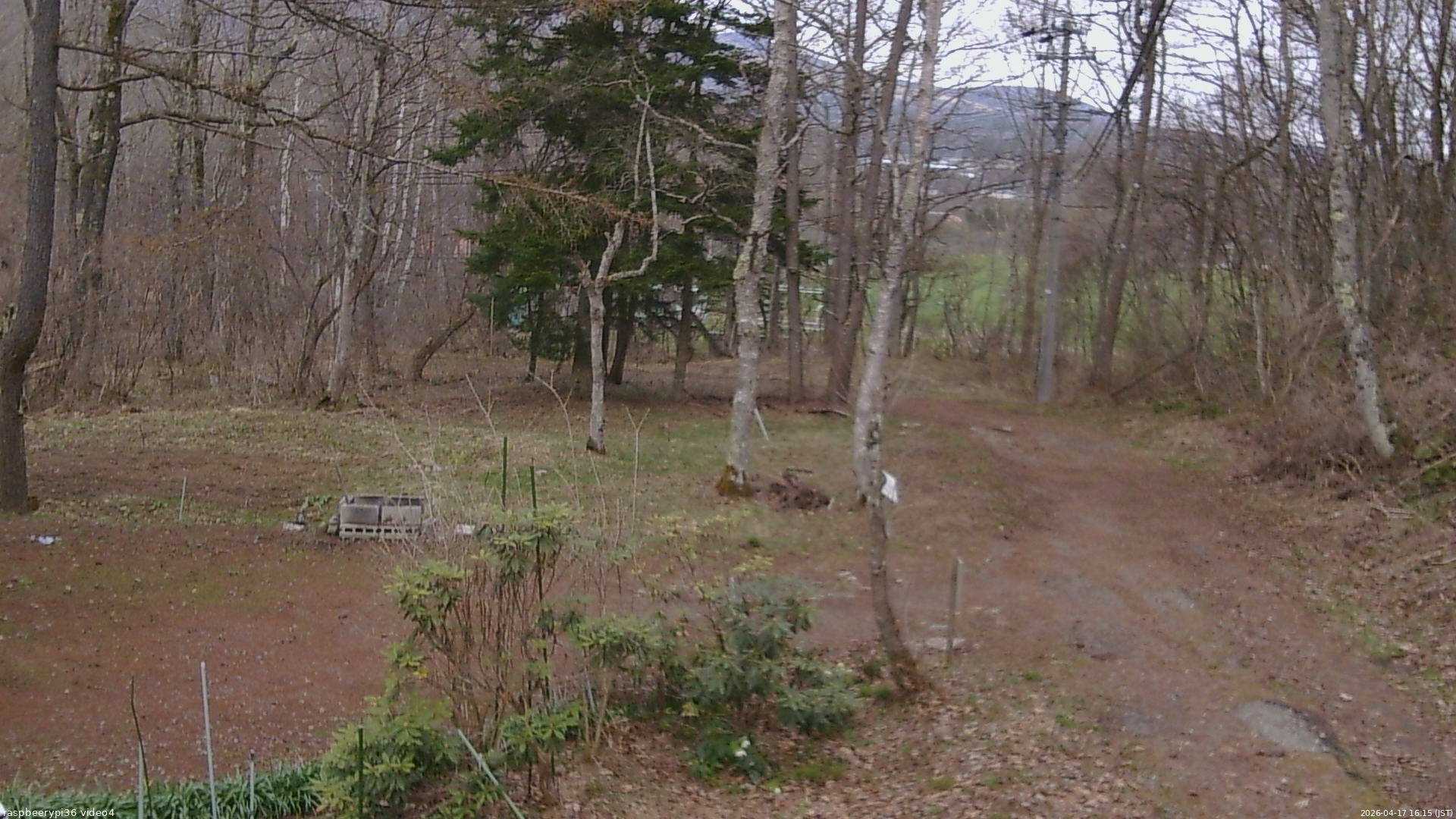 長野県菅平高原 ゆたか山荘 坂上 2026/04/17 16:15