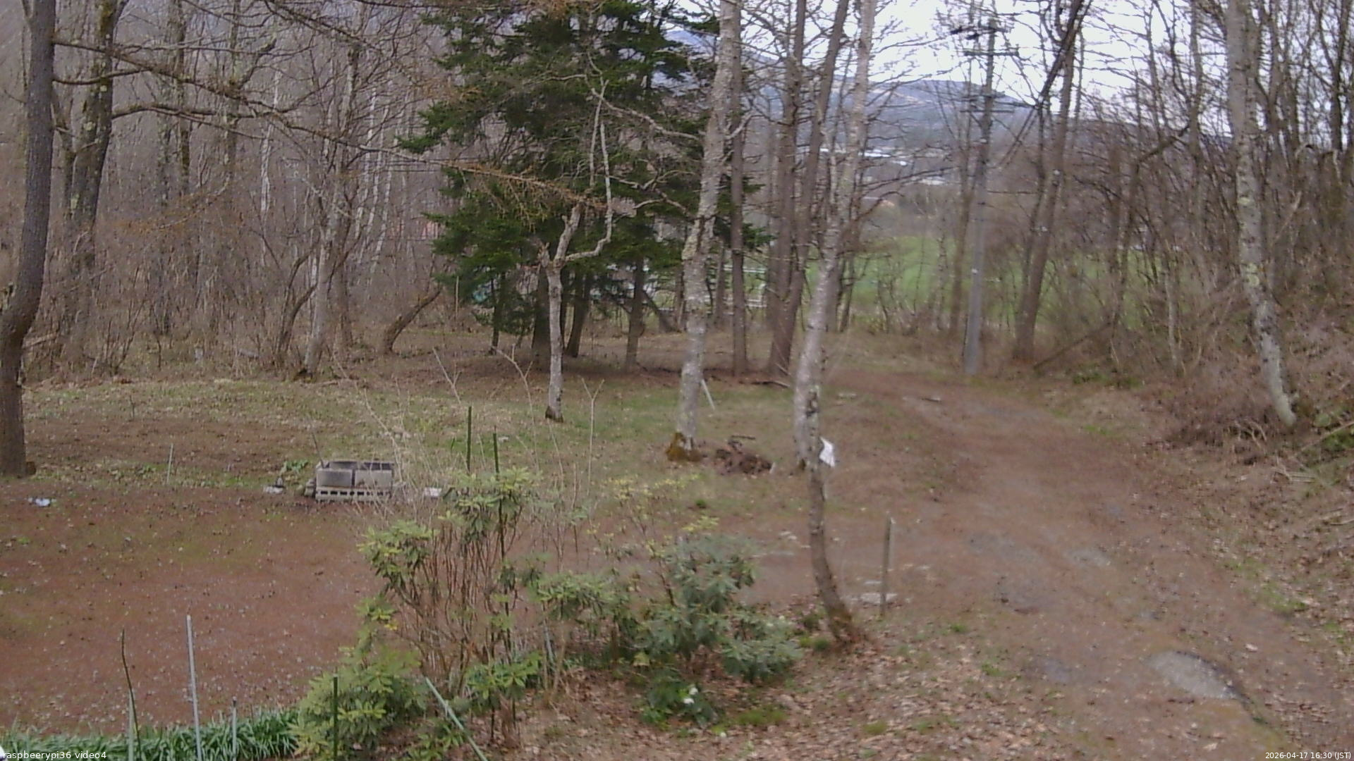 長野県菅平高原 ゆたか山荘 坂上 2026/04/17 16:30