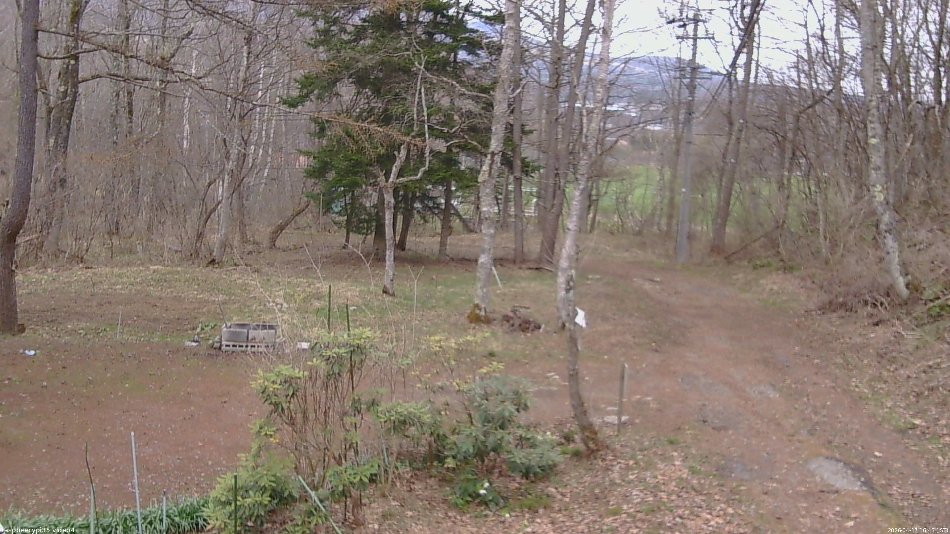 長野県菅平高原 ゆたか山荘 坂上 2026/04/17 16:45