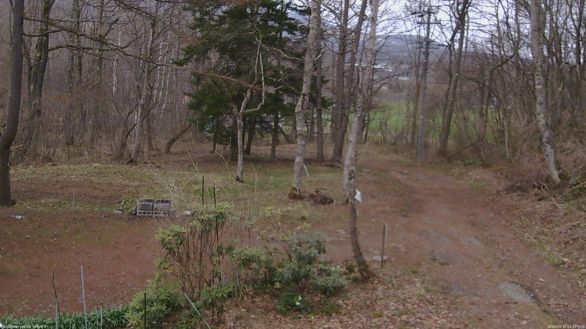 長野県菅平高原 ゆたか山荘 坂上 2026/04/17 17:30