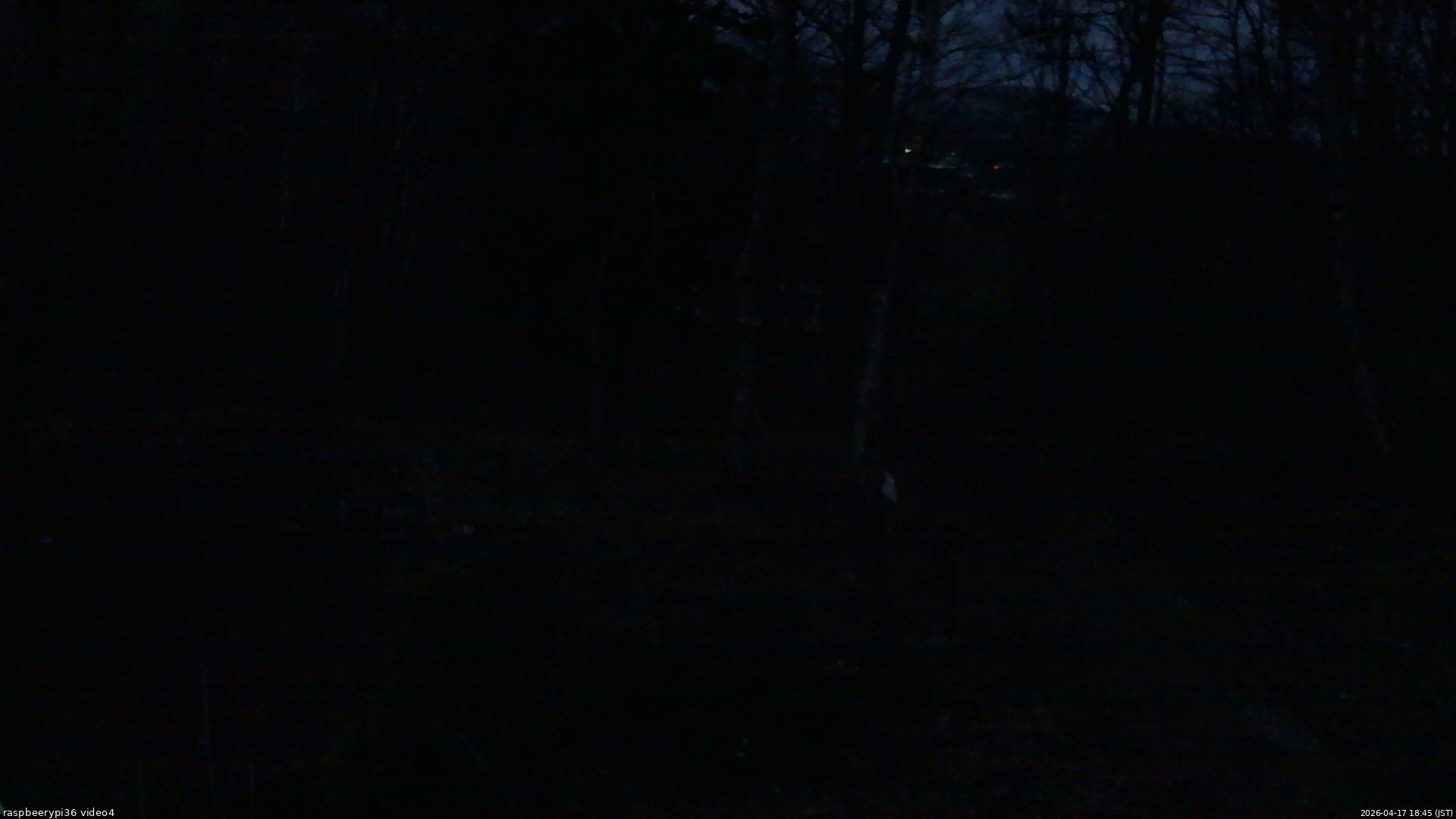 長野県菅平高原 ゆたか山荘 坂上 2026/04/17 18:45