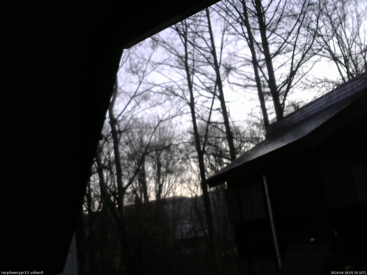 長野県菅平高原 ゆたか山荘 北側 2026/04/18 05:30