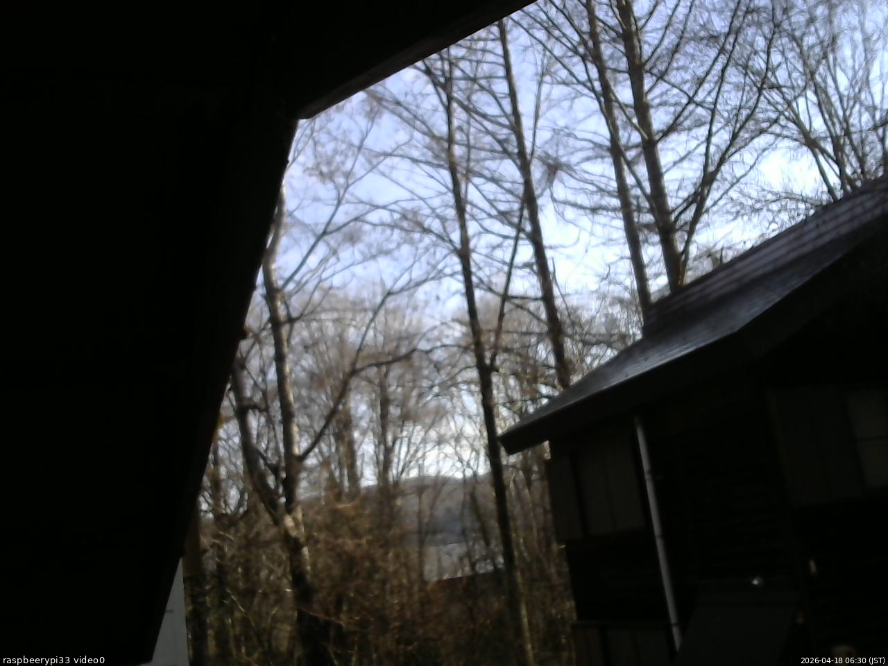 長野県菅平高原 ゆたか山荘 北側 2026/04/18 06:30