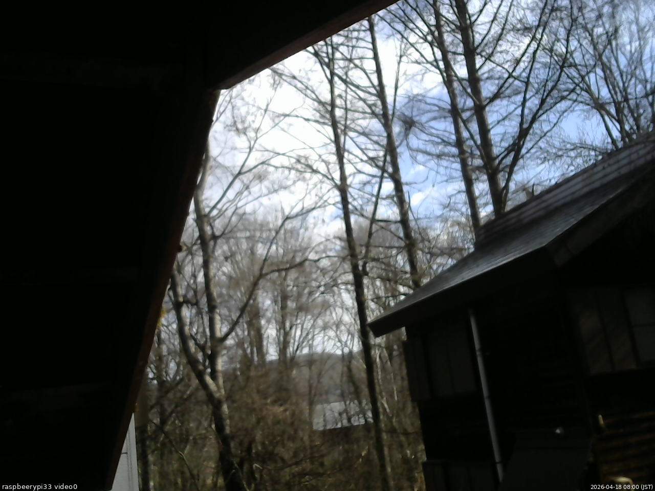 長野県菅平高原 ゆたか山荘 北側 2026/04/18 08:00