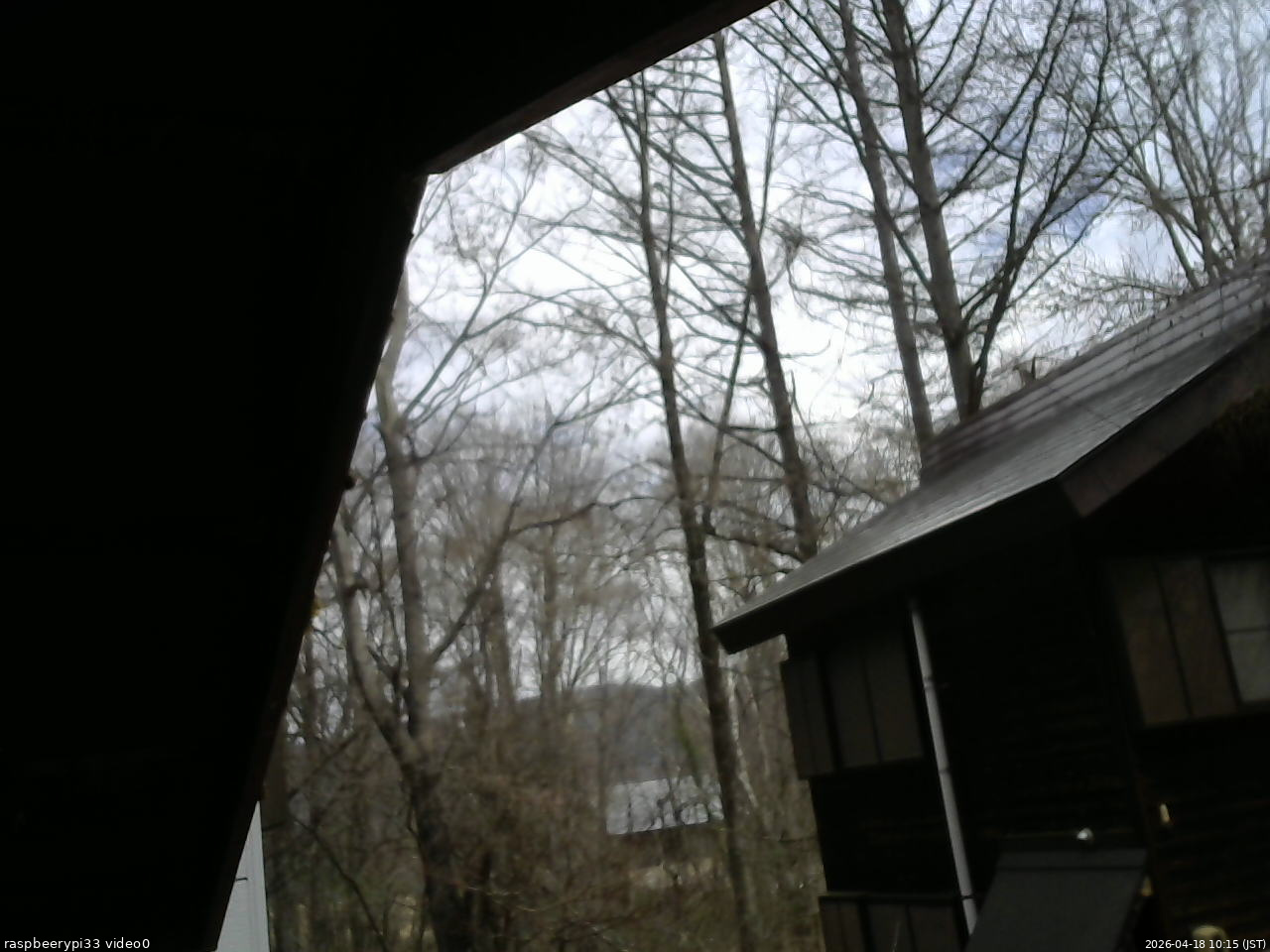 長野県菅平高原 ゆたか山荘 北側 2026/04/18 10:15