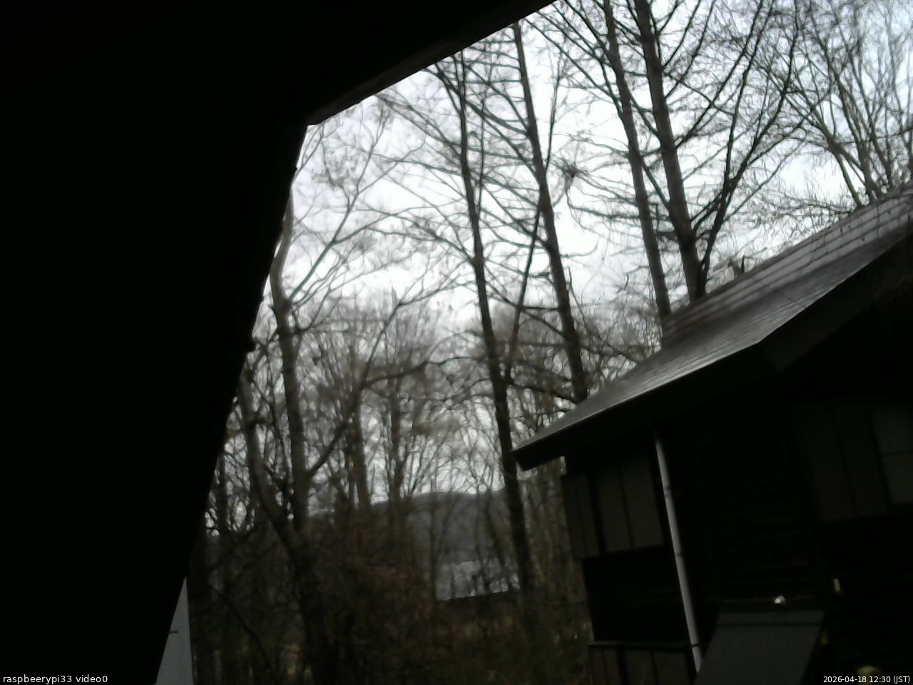 長野県菅平高原 ゆたか山荘 北側 2026/04/18 12:30