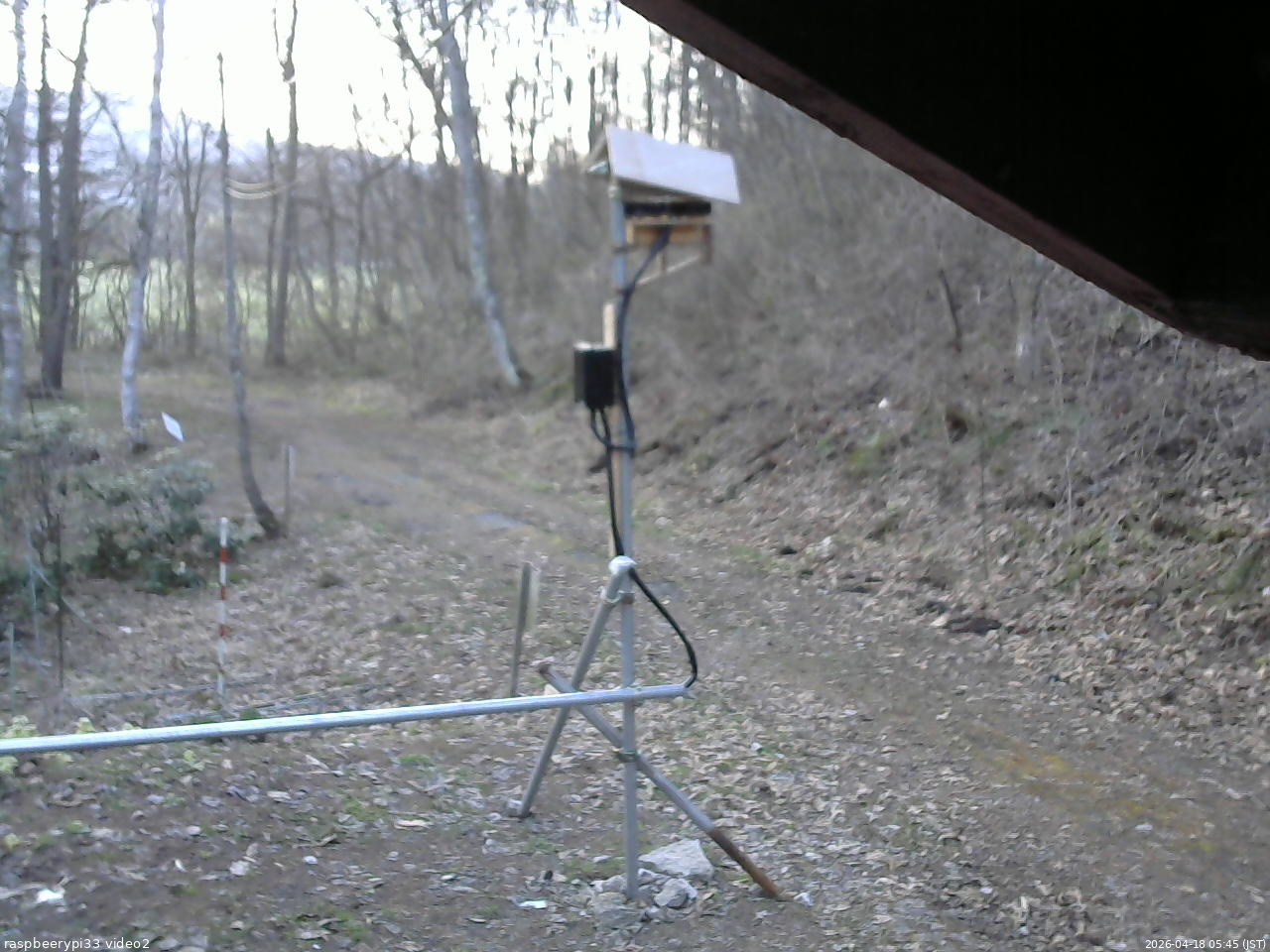 長野県菅平高原 ゆたか山荘 南側 2026/04/18 05:45