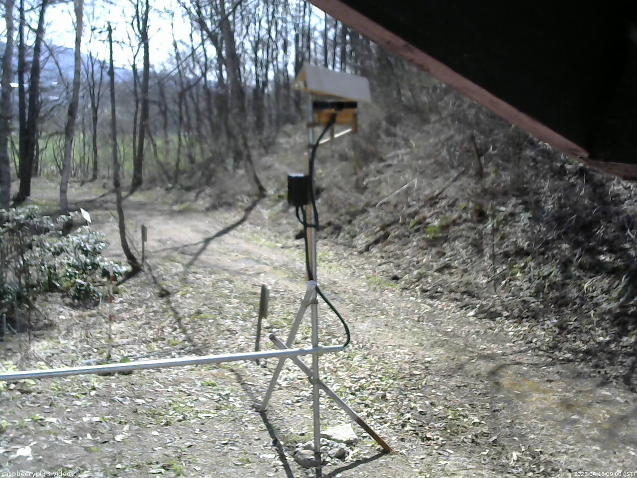 長野県菅平高原 ゆたか山荘 南側 2026/04/18 09:00