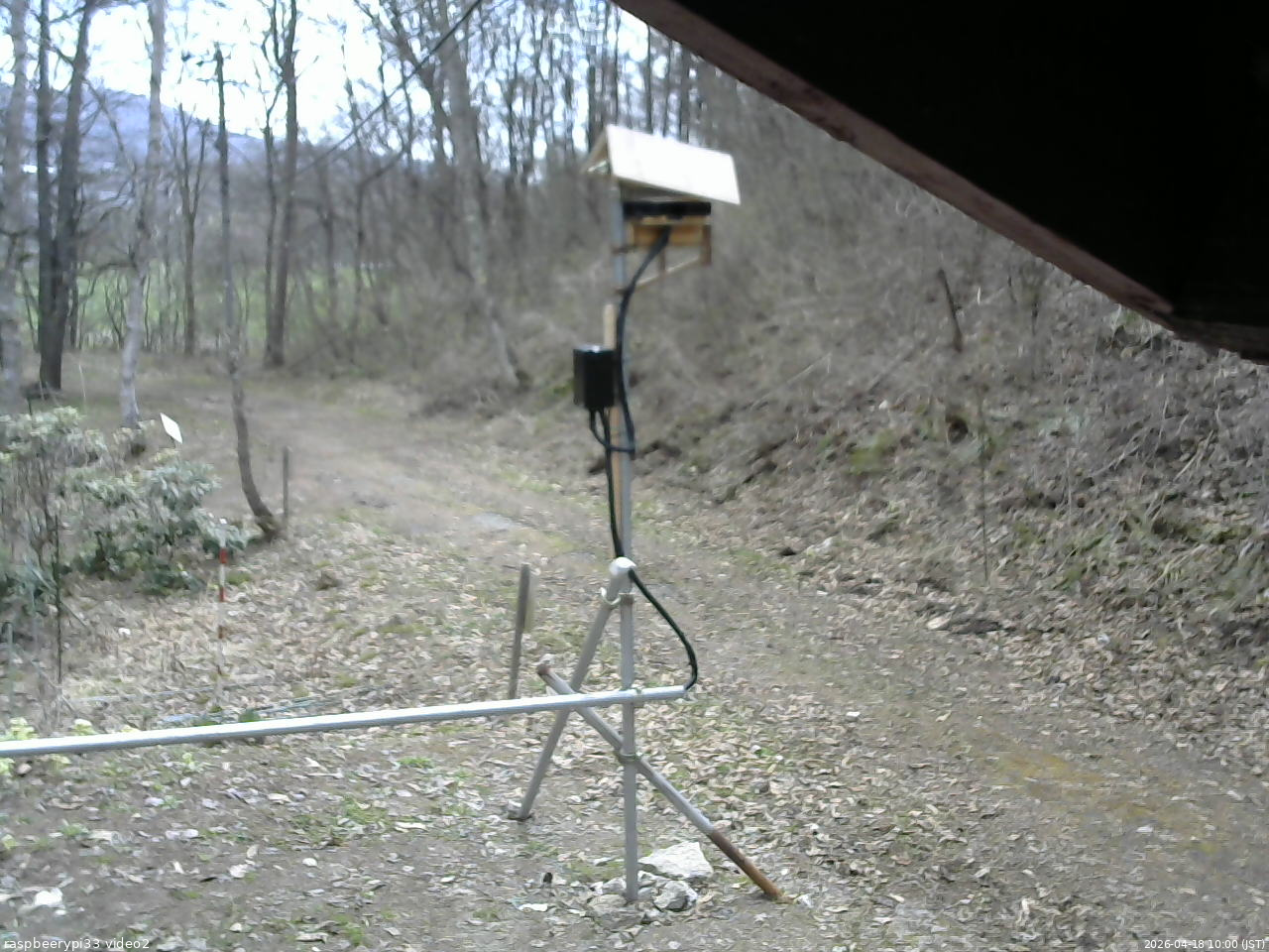 長野県菅平高原 ゆたか山荘 南側 2026/04/18 10:00