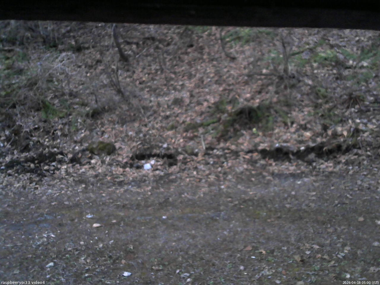 長野県菅平高原 ゆたか山荘 東側(坂下) 2026/04/18 05:00