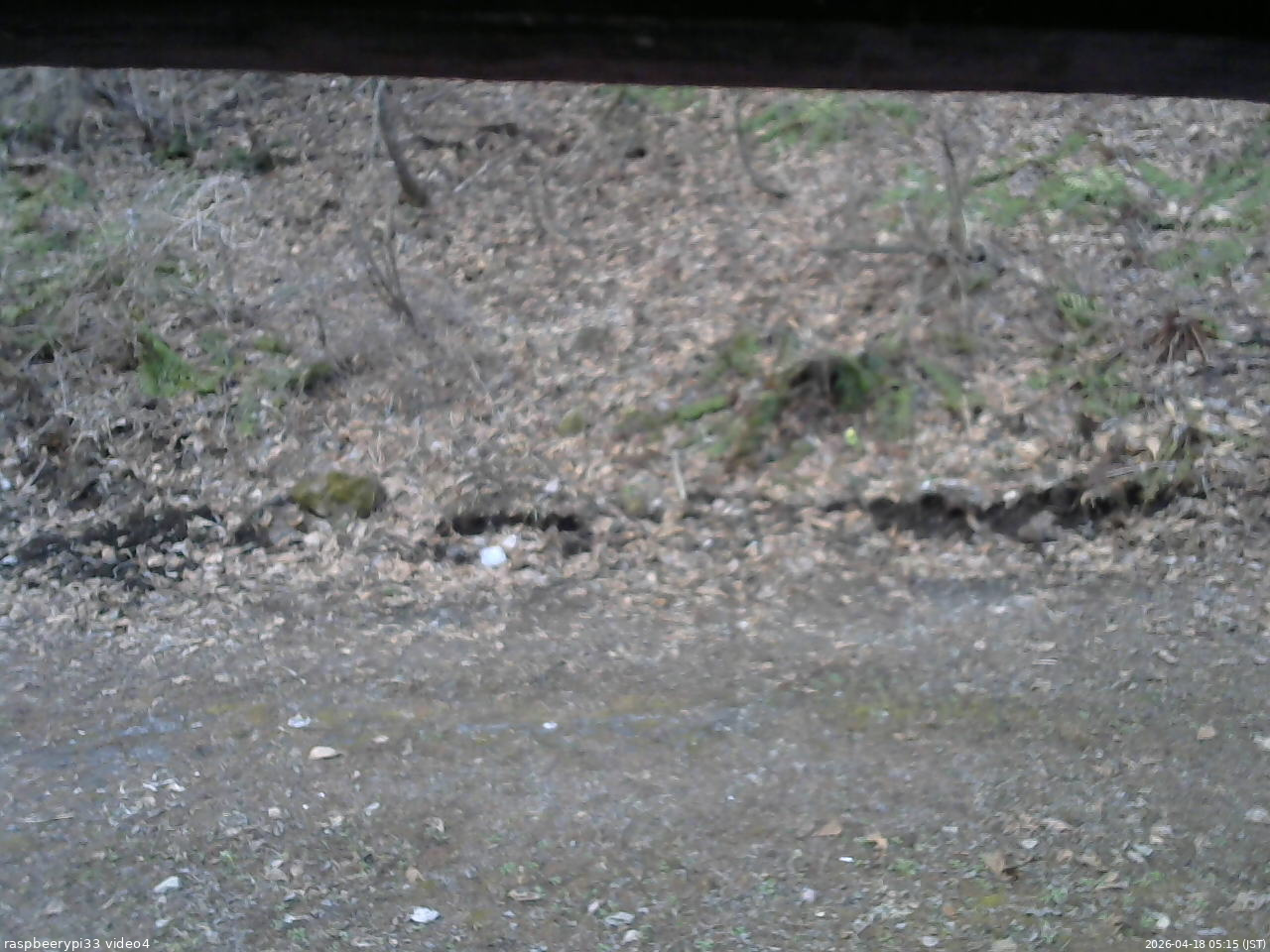 長野県菅平高原 ゆたか山荘 東側(坂下) 2026/04/18 05:15