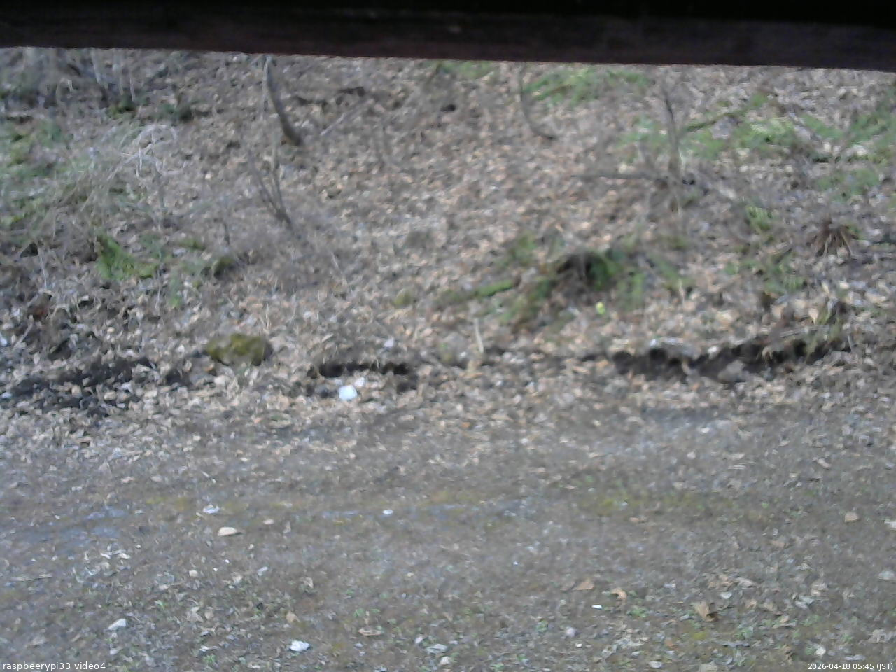 長野県菅平高原 ゆたか山荘 東側(坂下) 2026/04/18 05:45