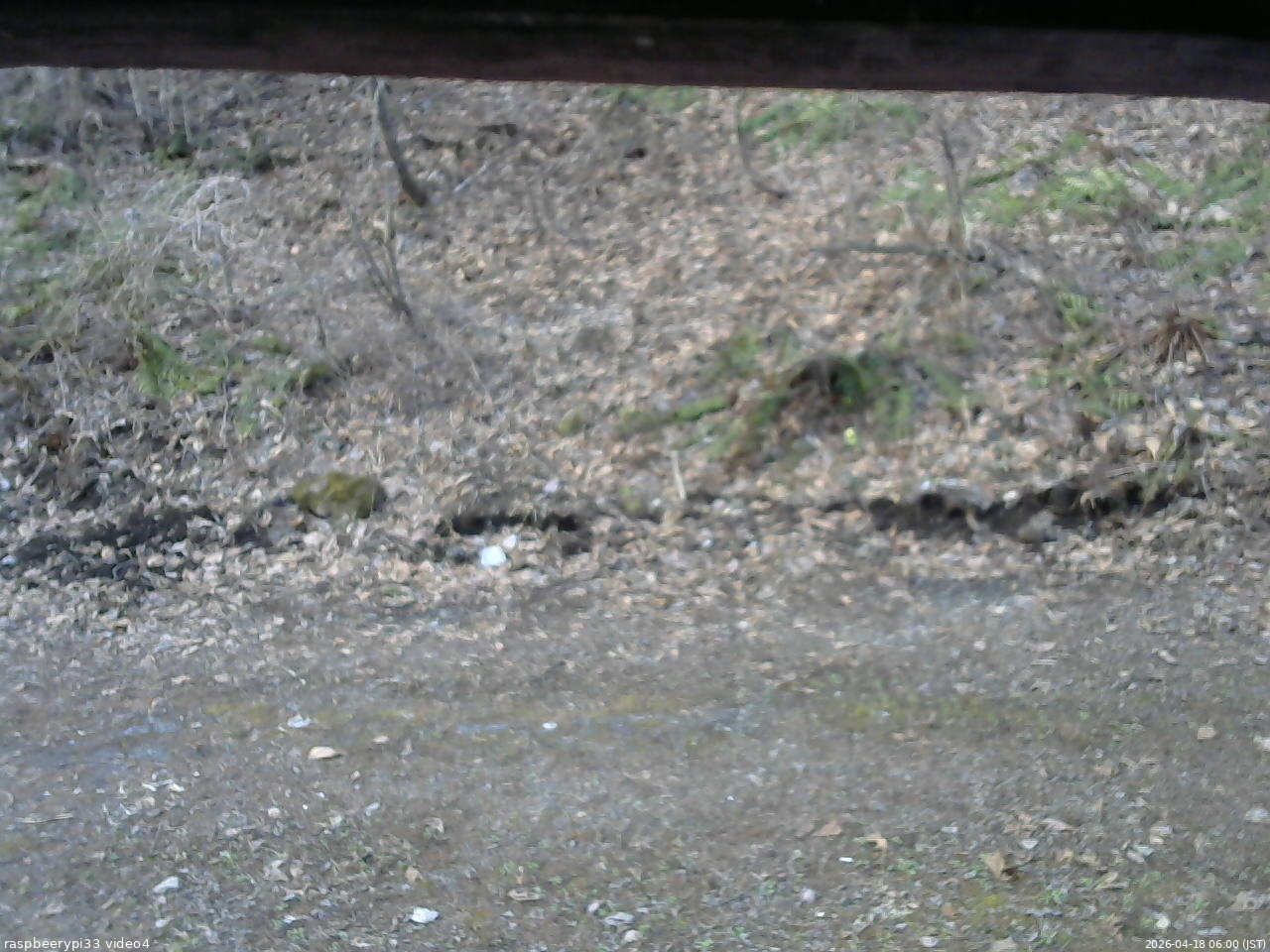 長野県菅平高原 ゆたか山荘 東側(坂下) 2026/04/18 06:00