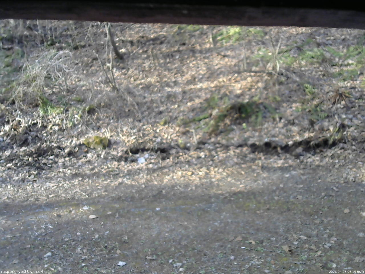 長野県菅平高原 ゆたか山荘 東側(坂下) 2026/04/18 06:15